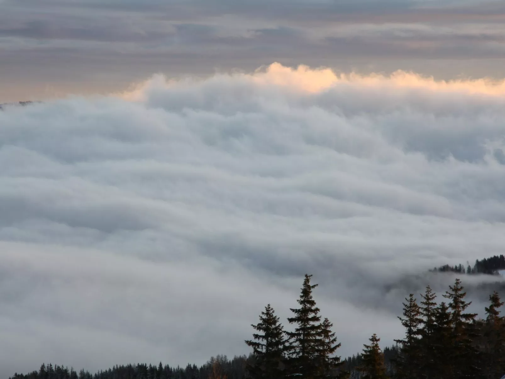 Klippitzhimmel in Klippitztörl-Drinnen