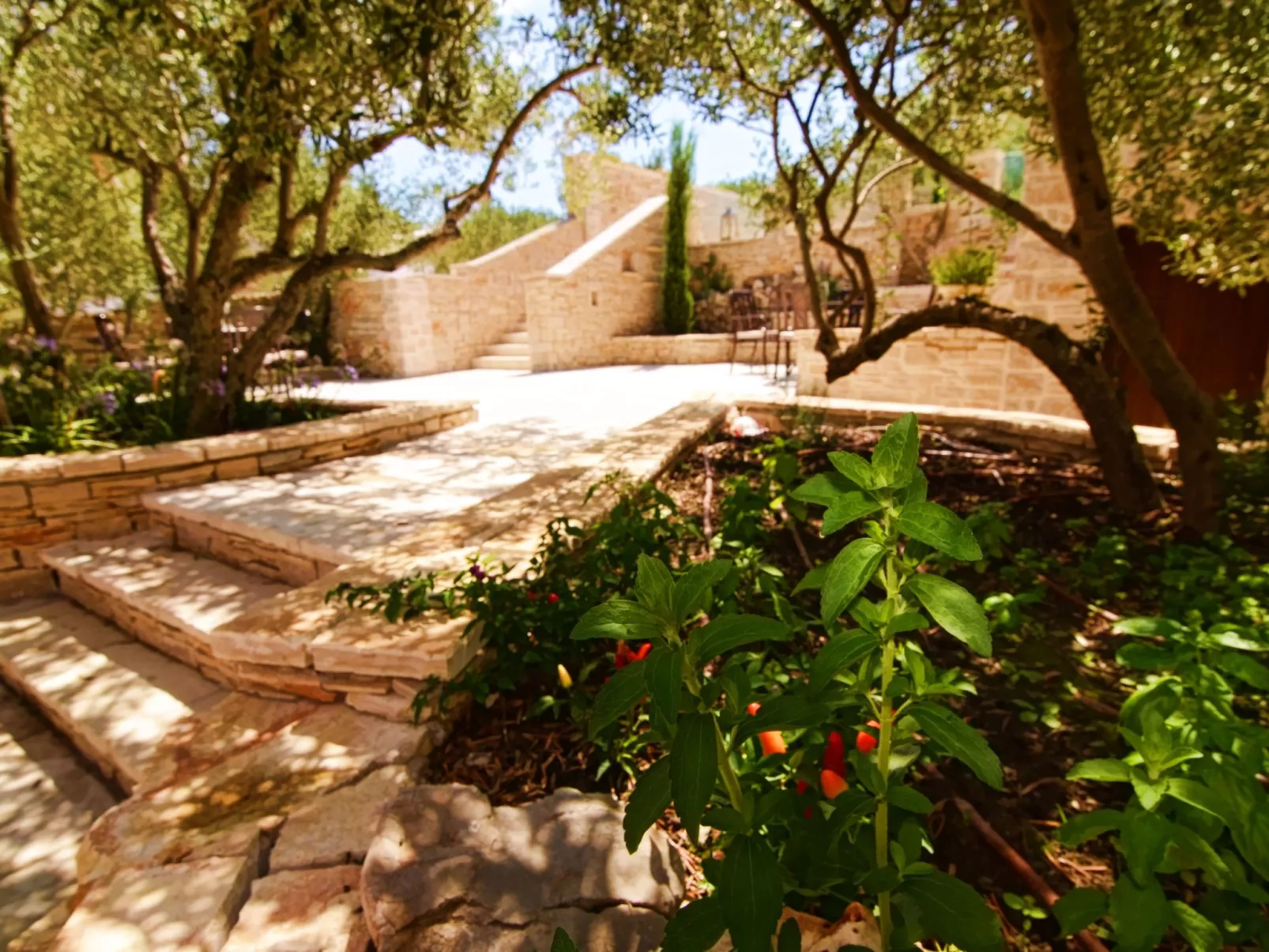 Wohnung "Villa Kos A-1" mit Pool-Draußen