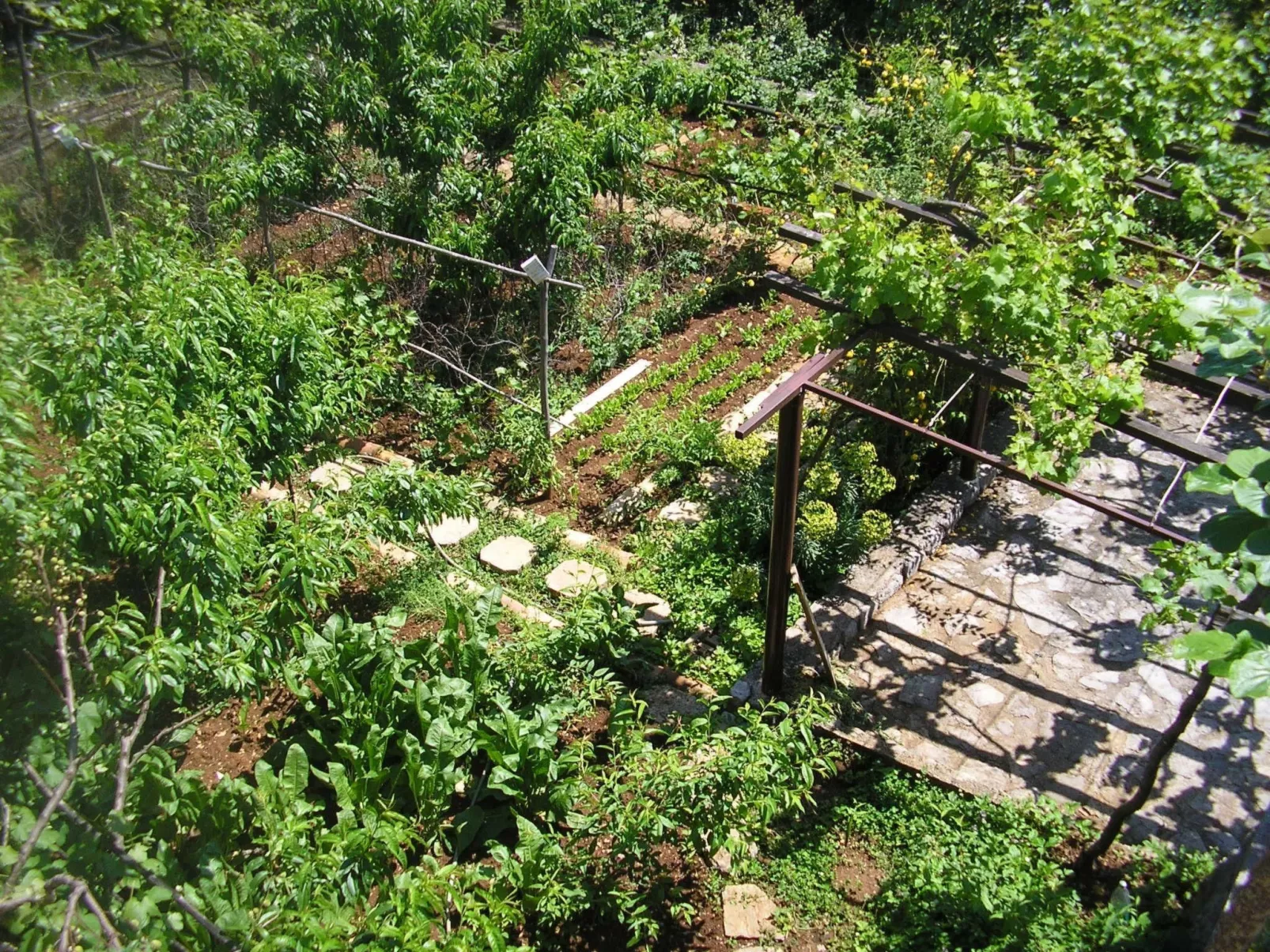 Mit Balkon und Terrasse-Draußen