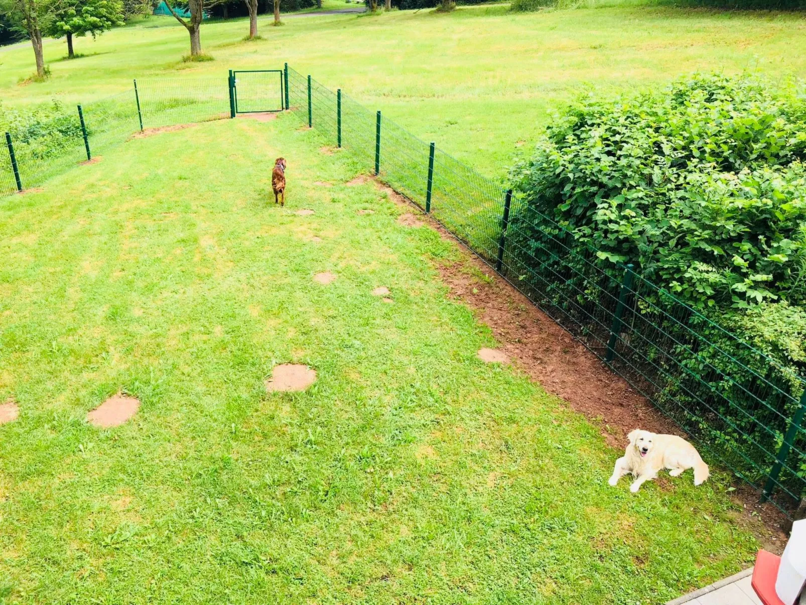 Charly in Kirchheim Seepark-Drinnen