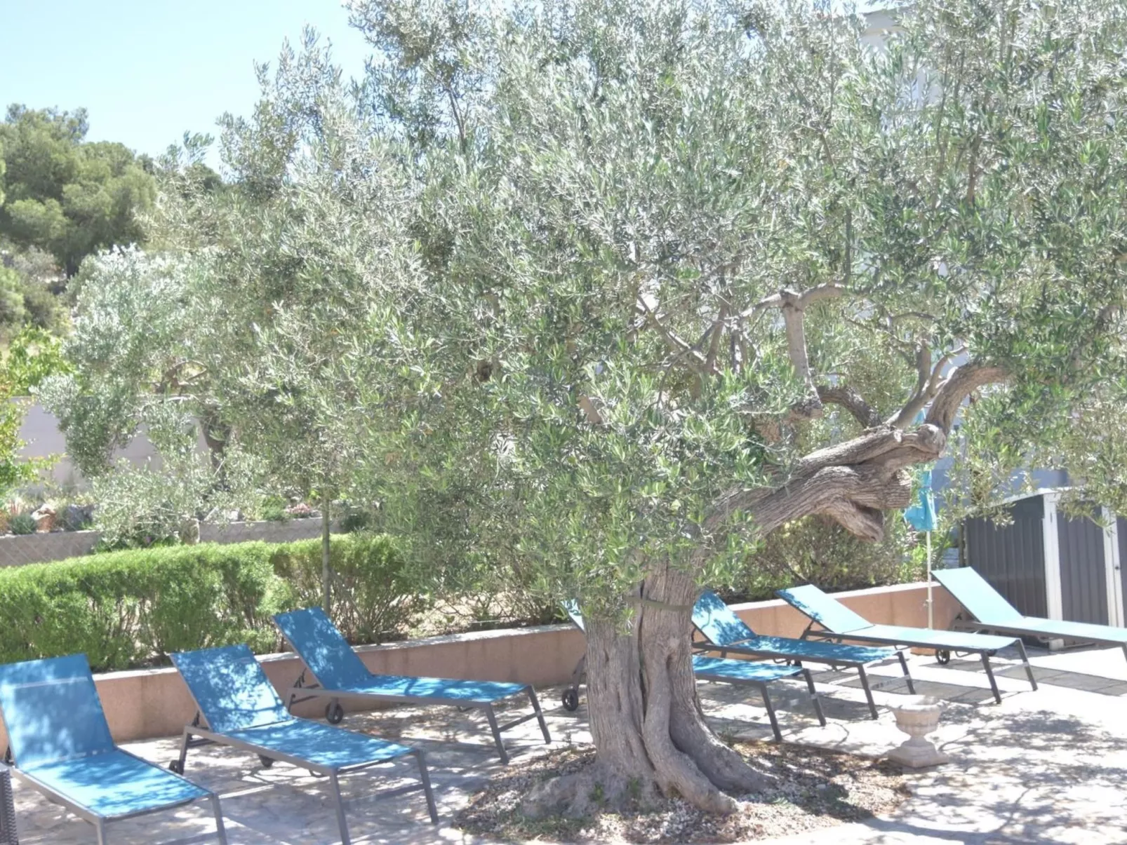 Garten Bungalow-Dedans