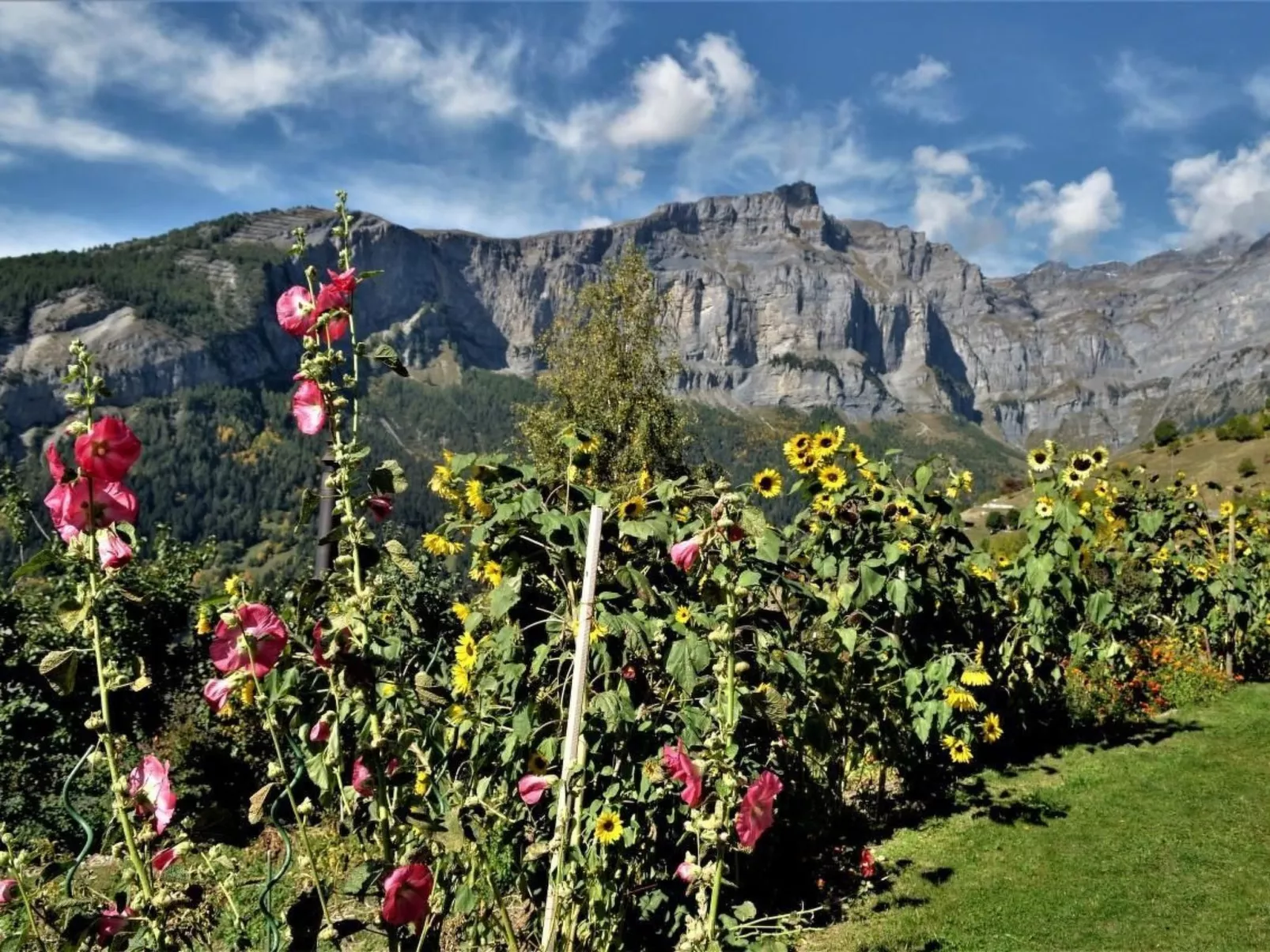 Chalet Abendstern-Drinnen
