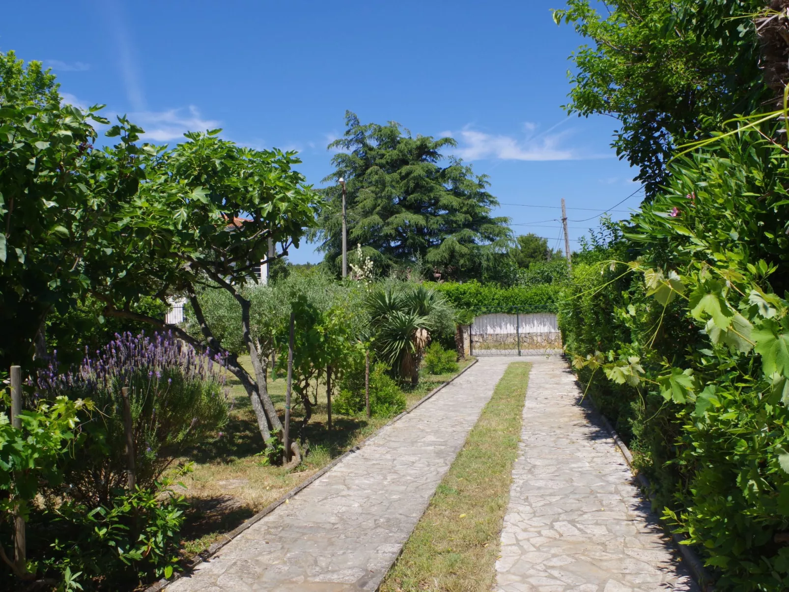 Wohnung in Premantura mit privatem Parkplatz-Draußen