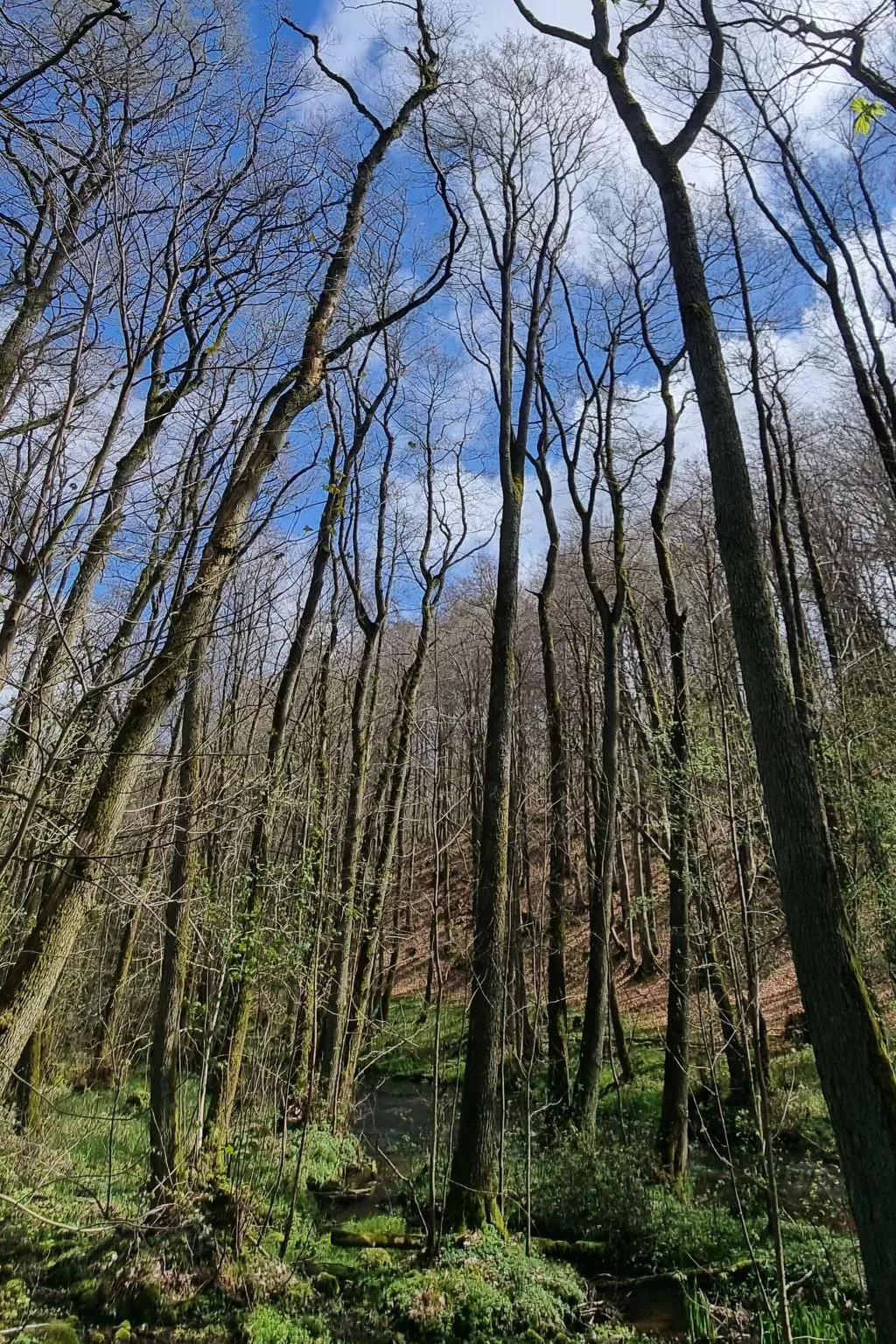 Lublewo21 Ferienhäuser - Draußen