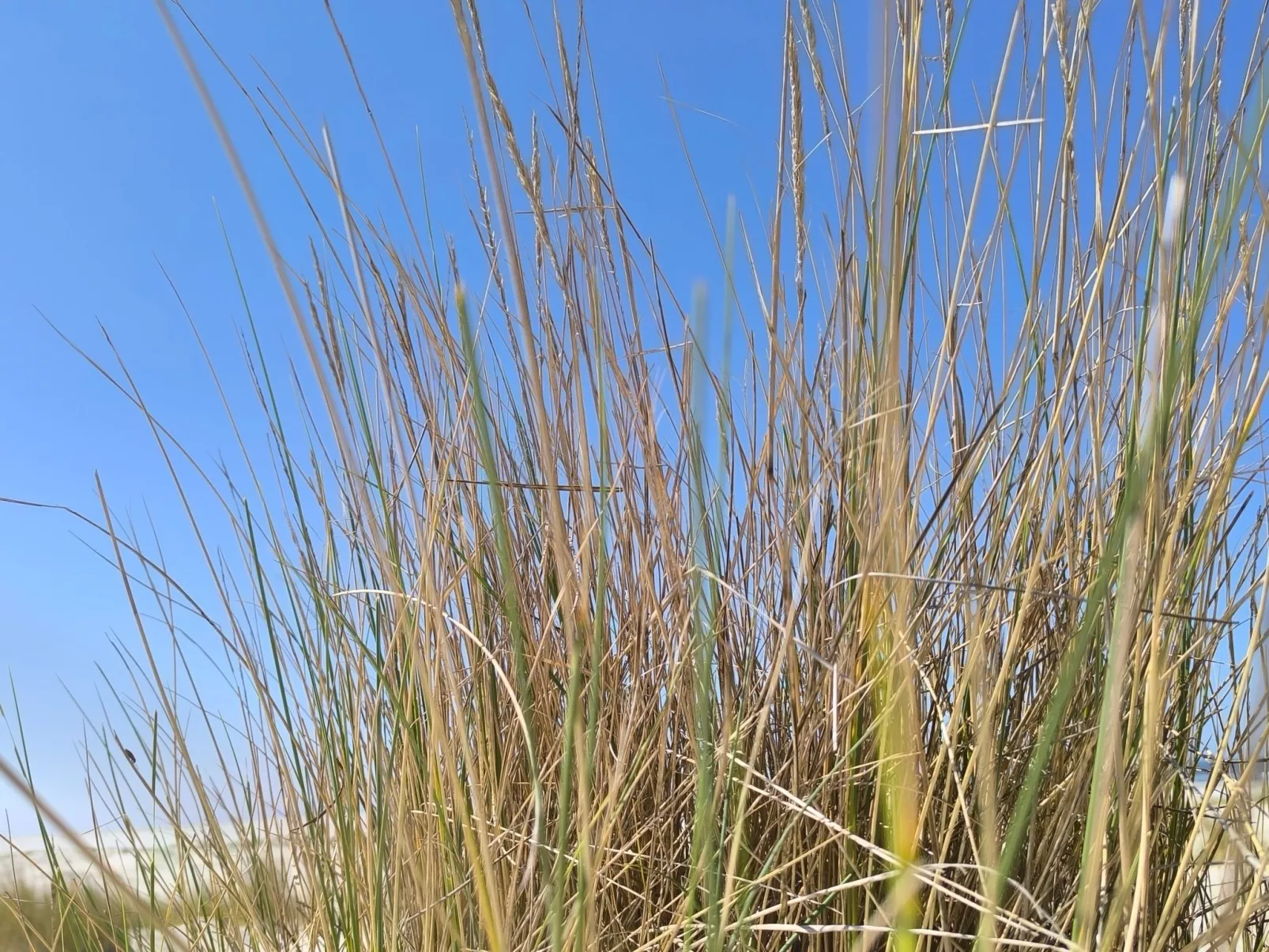  in Marienhafe-Outside