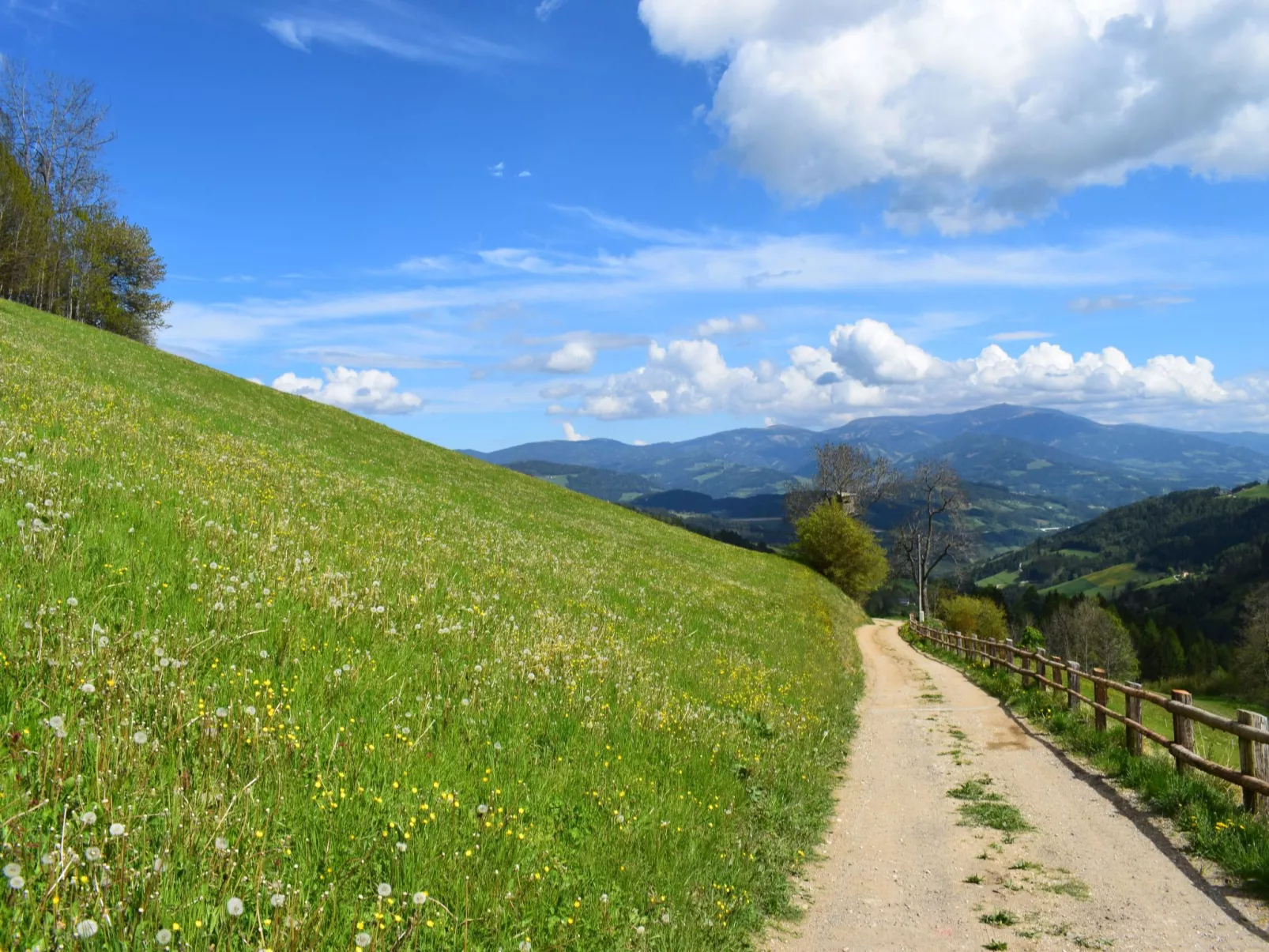 Alm-Ferienhaus-Dedans