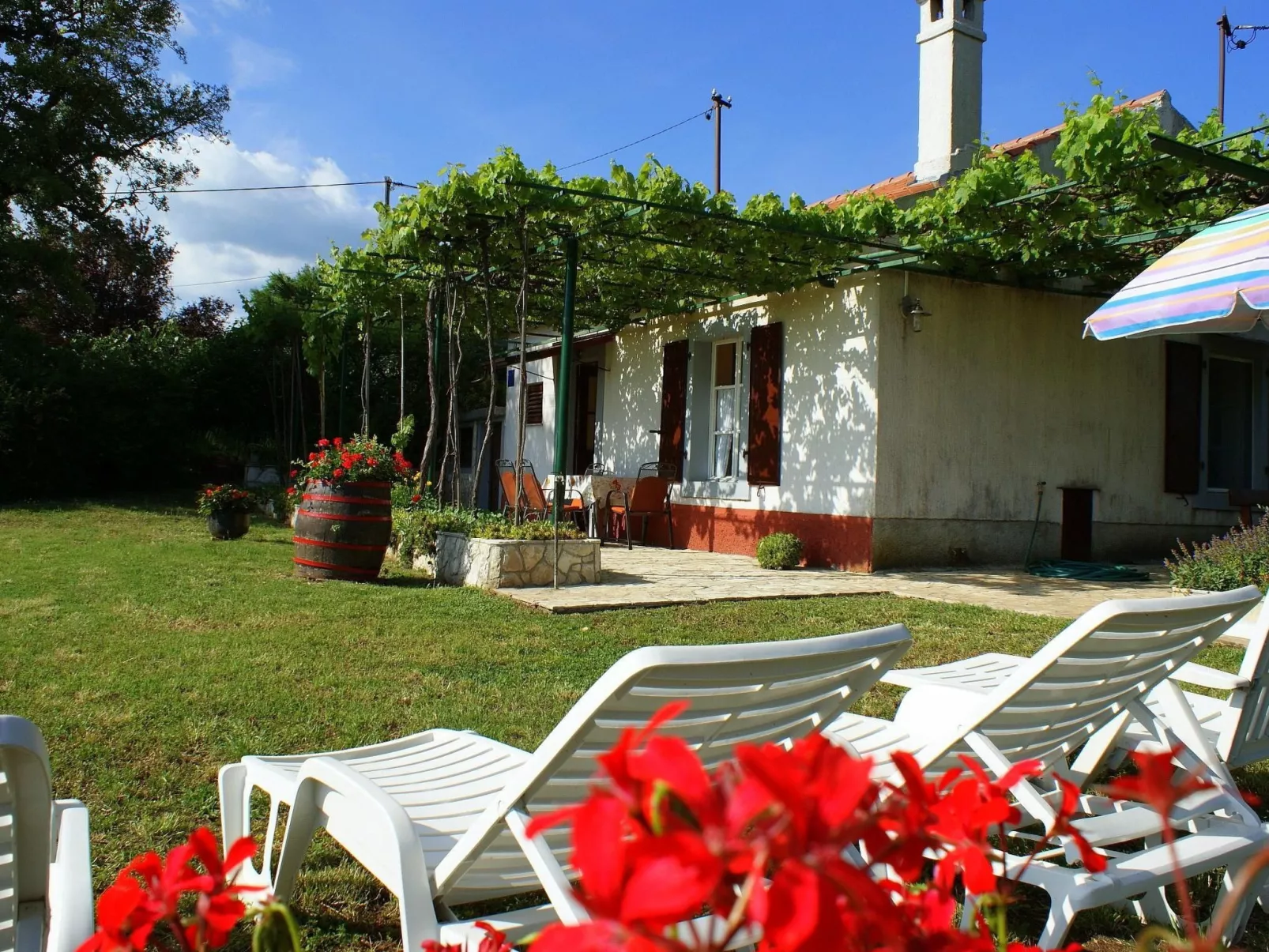 Freistehendes Haus Violeta mit weitläufigen Garten-Draußen