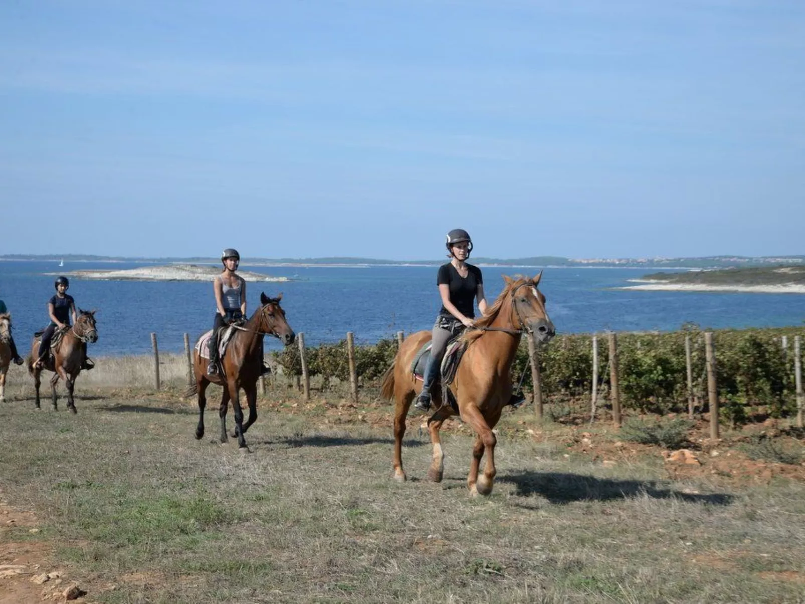 Villa Grofica, beheizter Pool, Taverne, Strandnähe-Inside