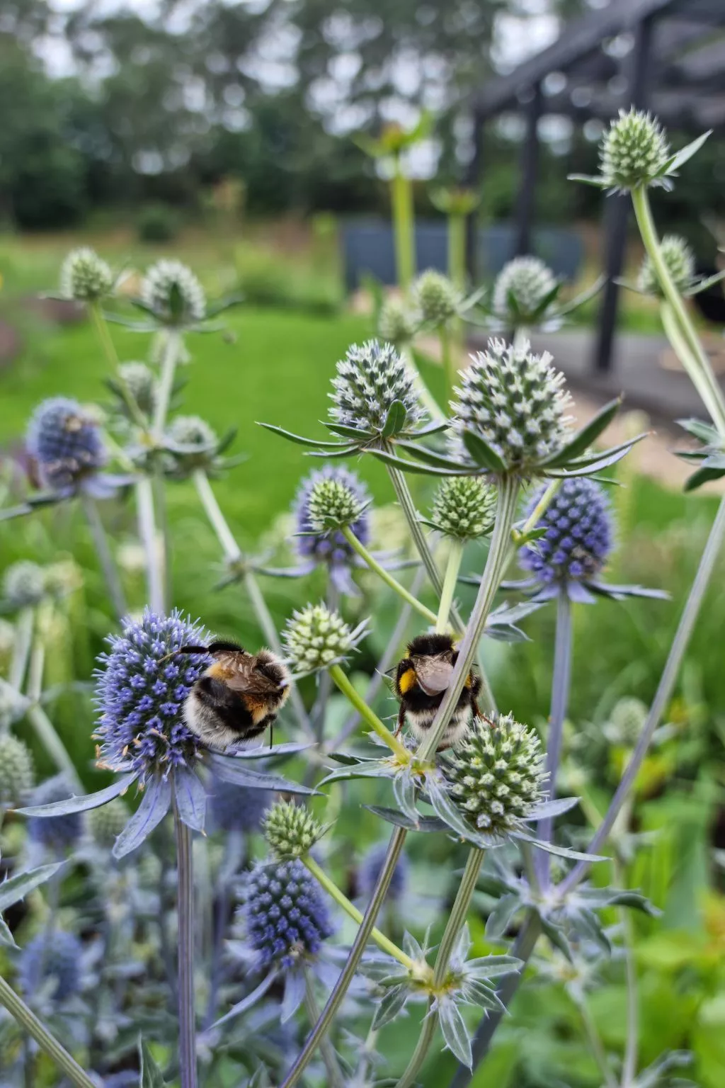 Lublewo21 Ferienhäuser - Draußen