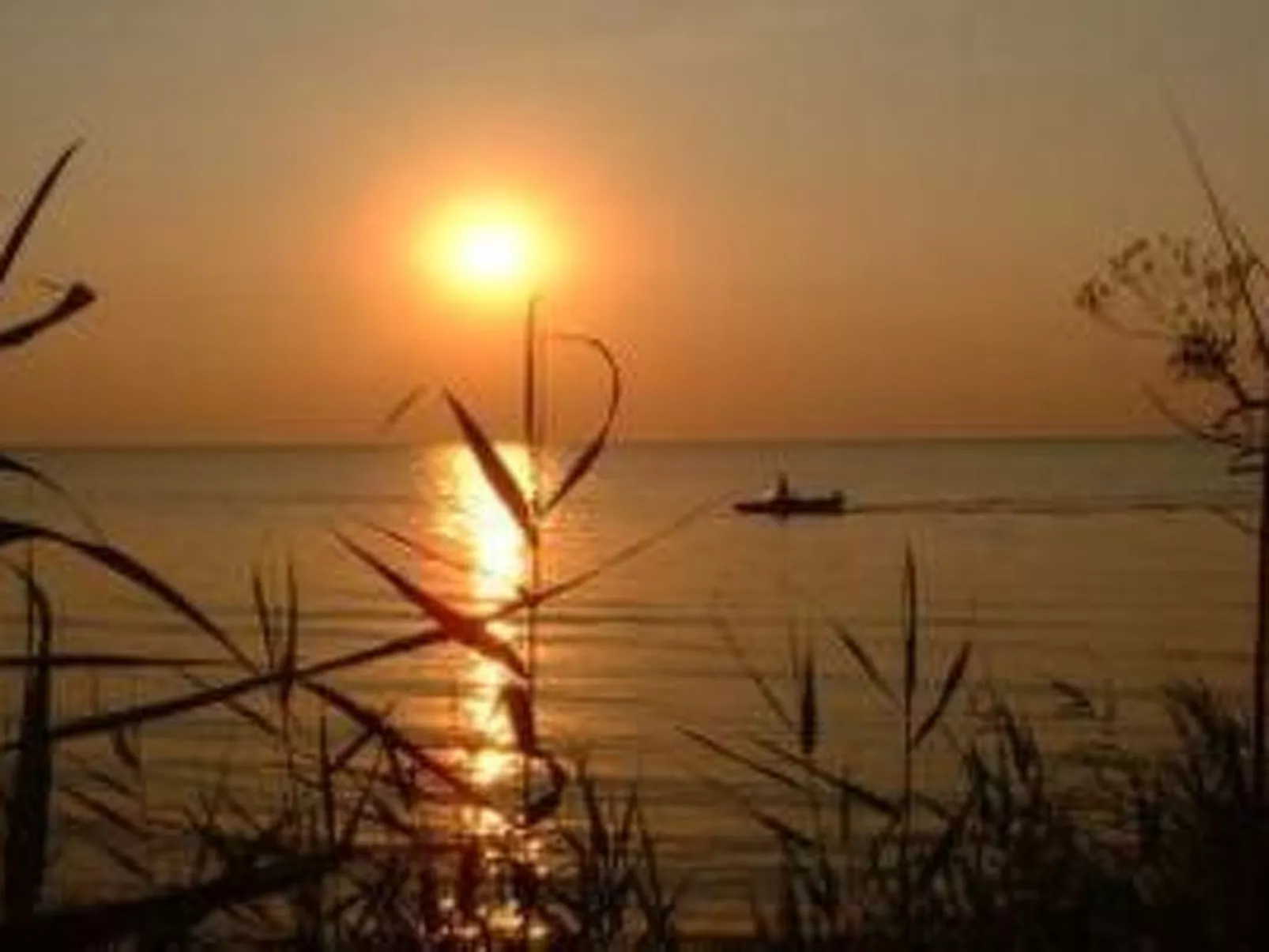 Mit Terrasse mitten im Grünen-Dehors