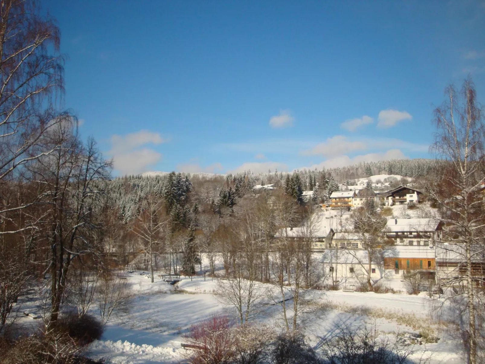 In Bayerisch Eisenstein mit Garten-Drinnen