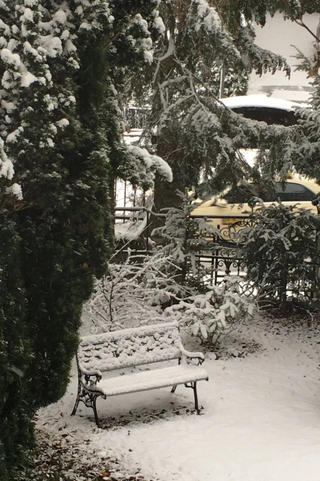 Altstadtnahe Wohnung Villa Harmening in Goslar-Outside