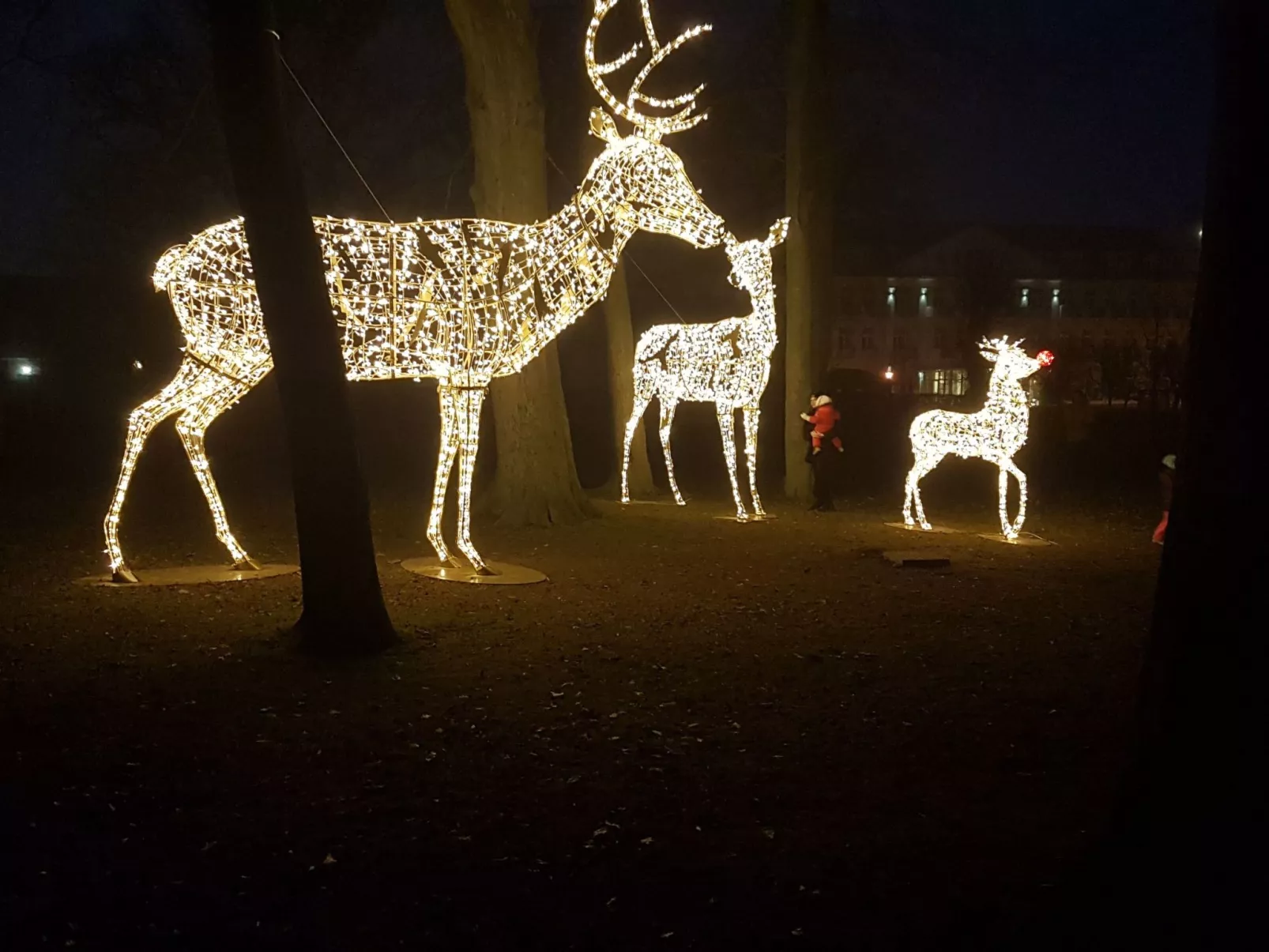 Bungalow "Lieschen"-Drinnen