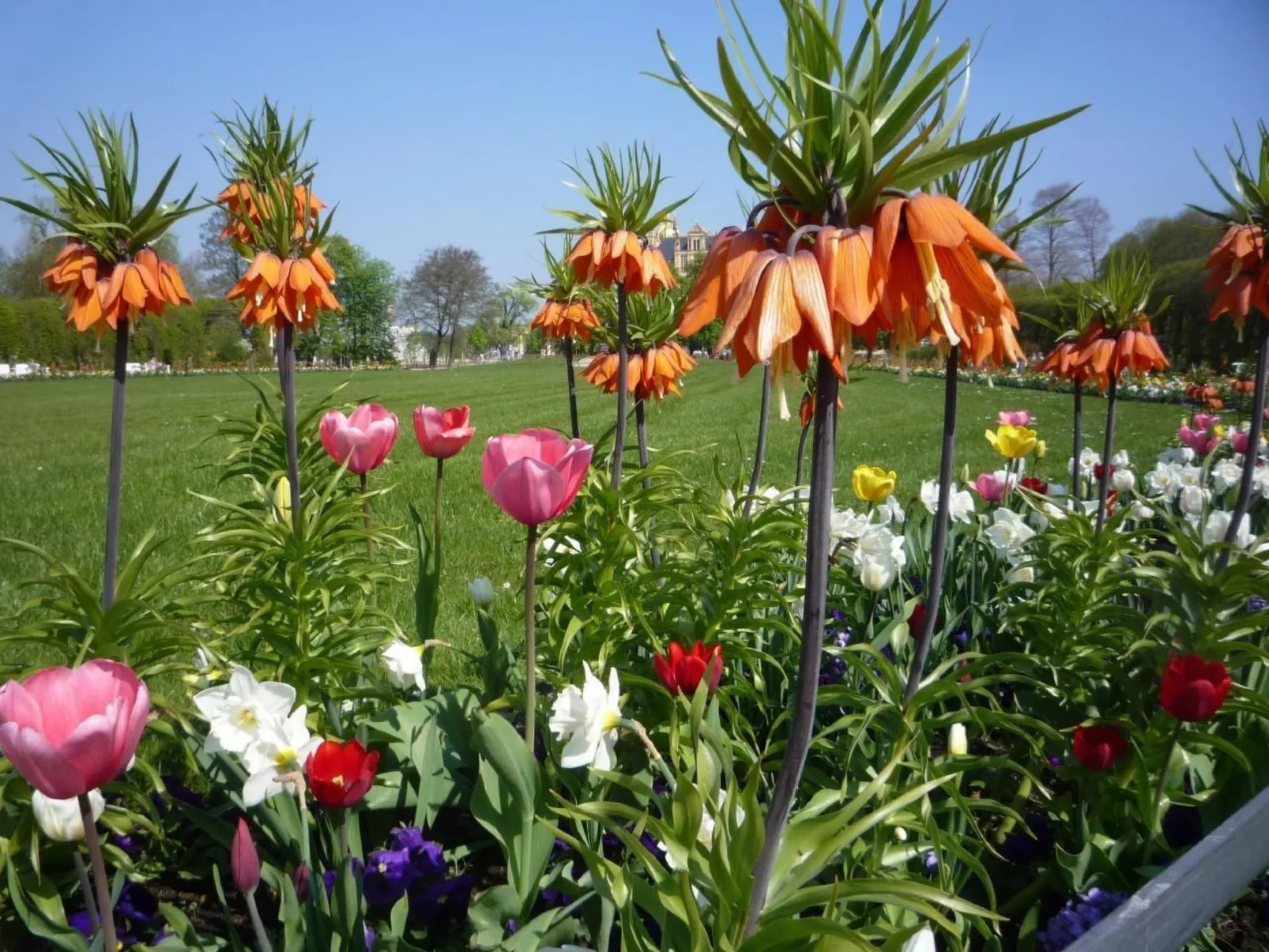 Schwedenhaus Zierow mit Terrasse und Grill-Dedans