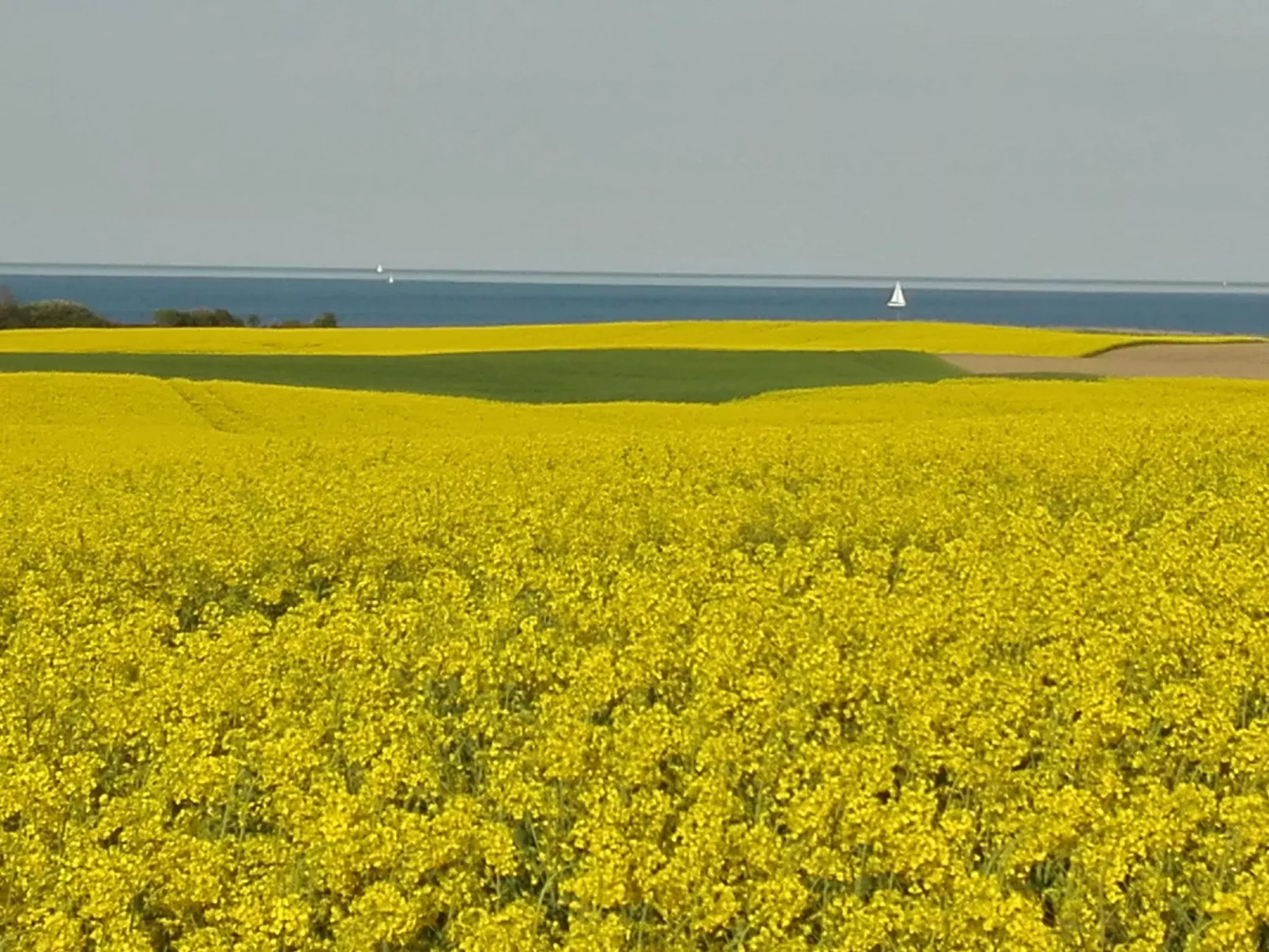 'Heile Welt' bei Maasholm - Draußen