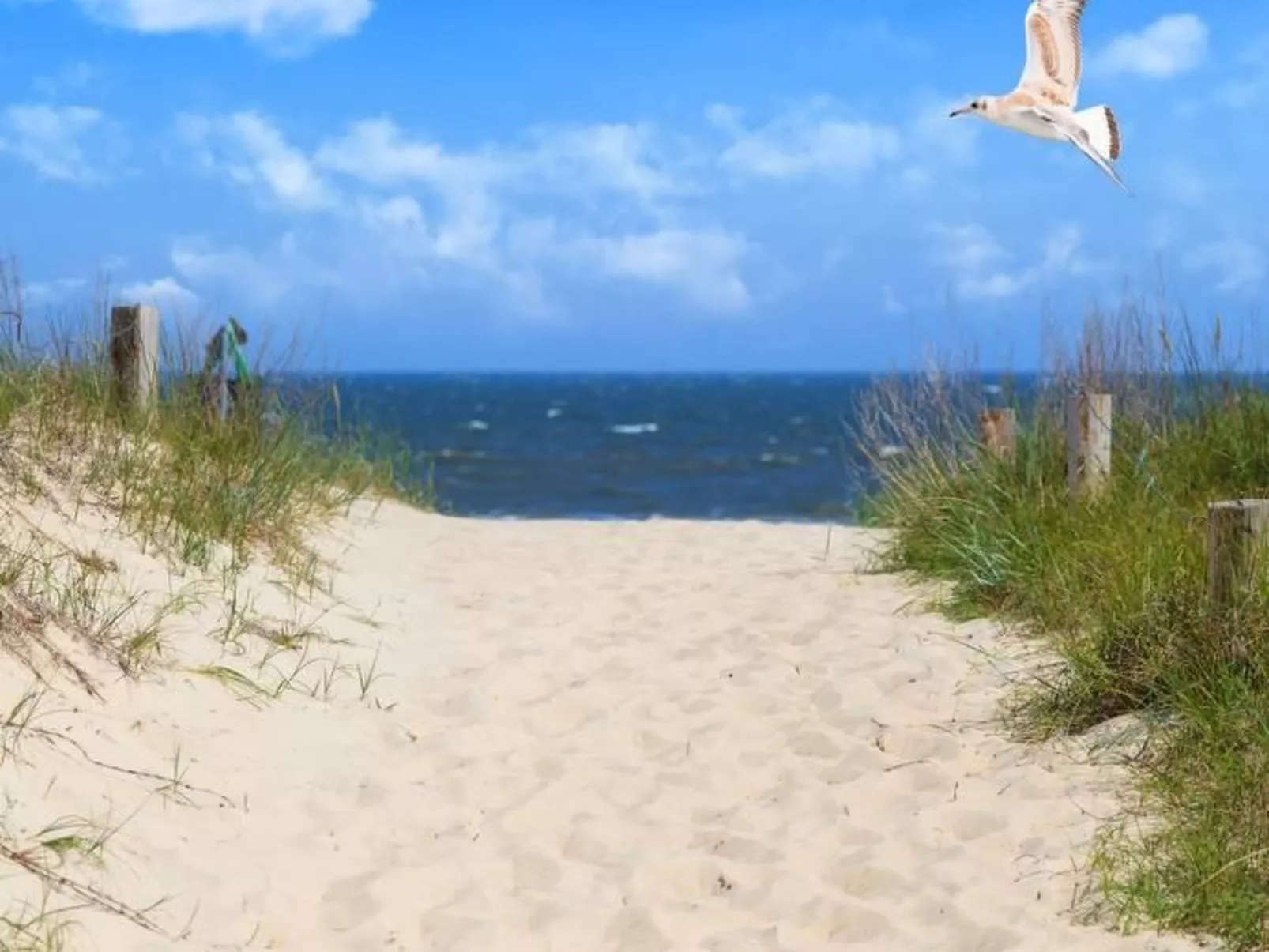 Schwemm-Image-tags.info