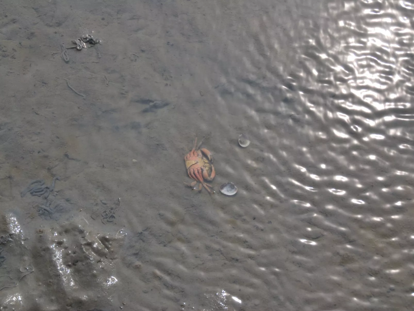 Landskron-Image-tags.info