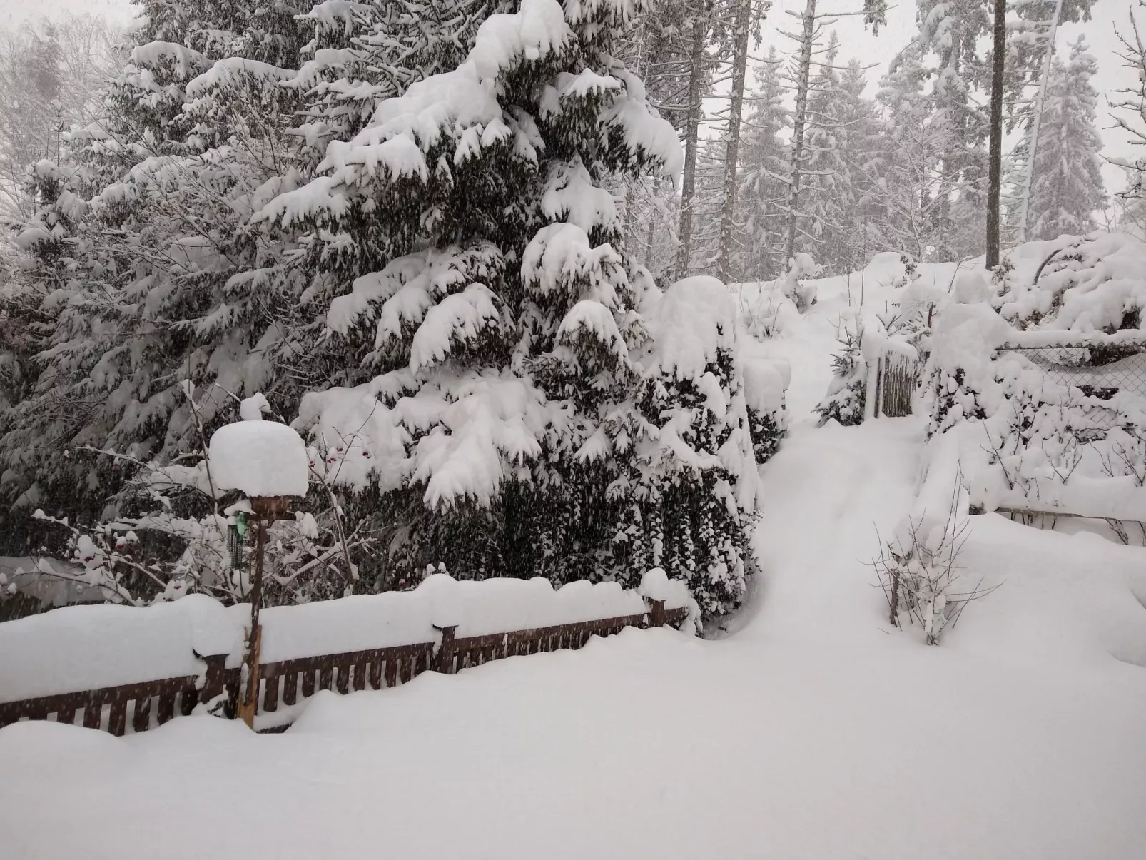 Haus Bernkogelblick in Goldegg-Inside