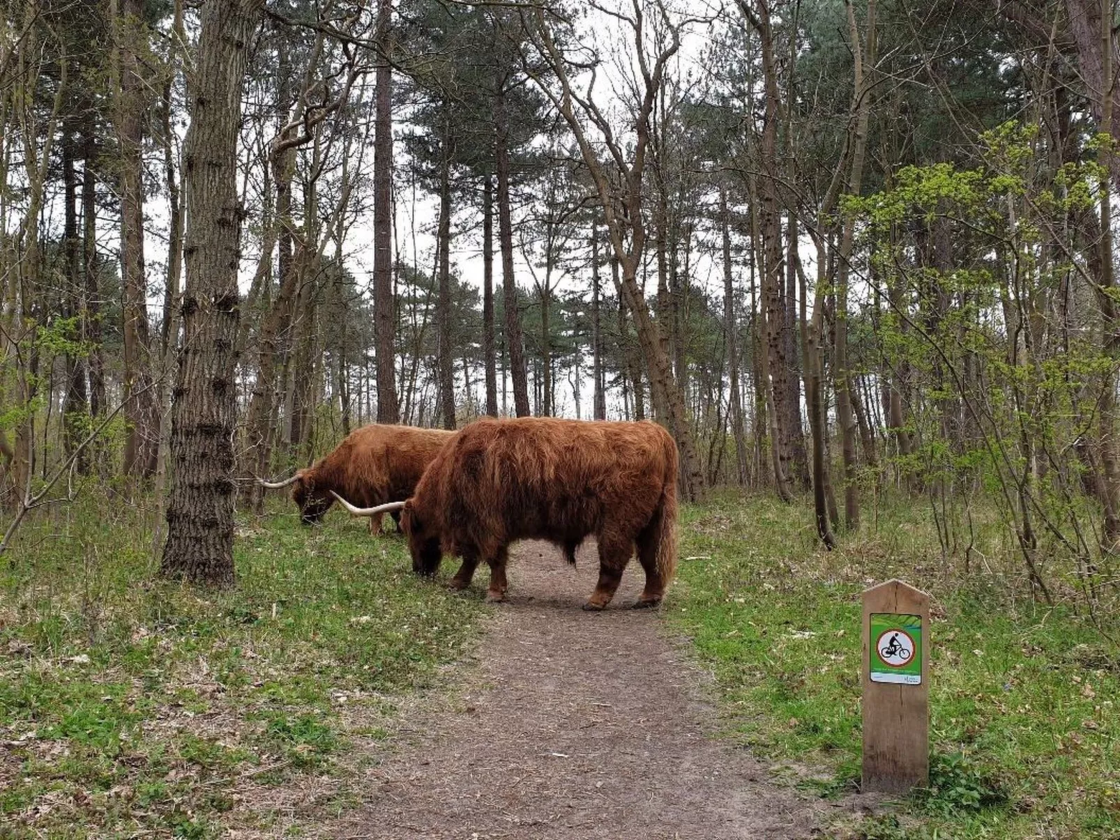 "Windhoos" mit privatem Garten und Terrasse-Outside