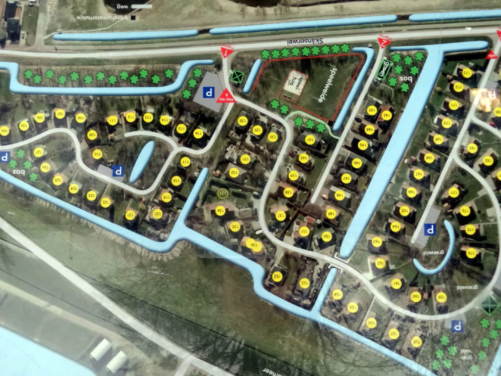 158 Schafssicht-Draußen