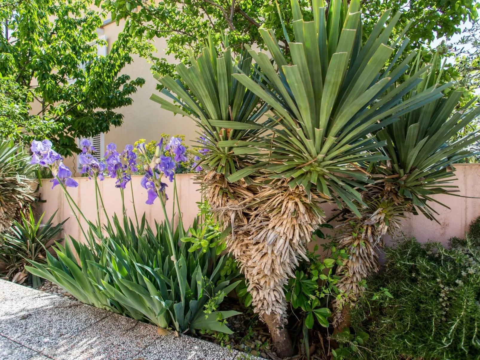 Wohnung Maria in der Nähe des Strandes-Inside