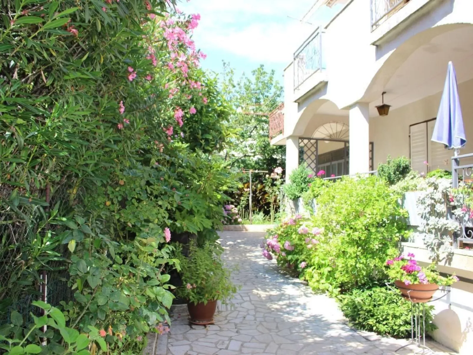 Gina-Image-tags.info