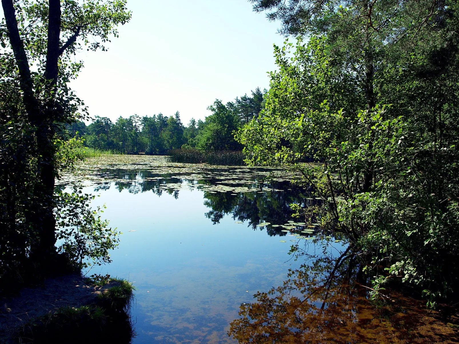 Holzhaus Juhas-Dedans