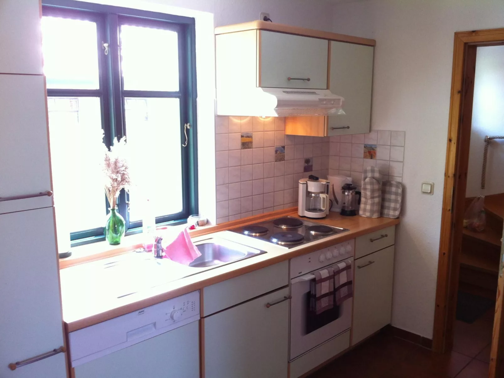 Gans in Ummanz-Lüßvitz-Inside