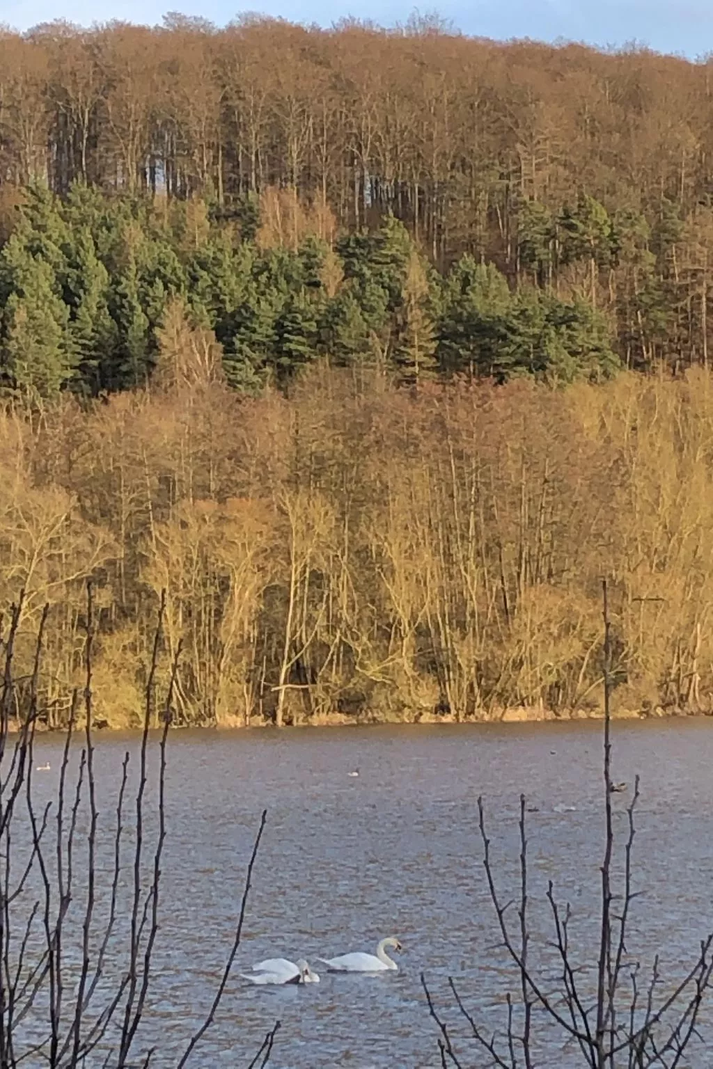 Wunderschönes Ferienhaus am Waldrand-Inside