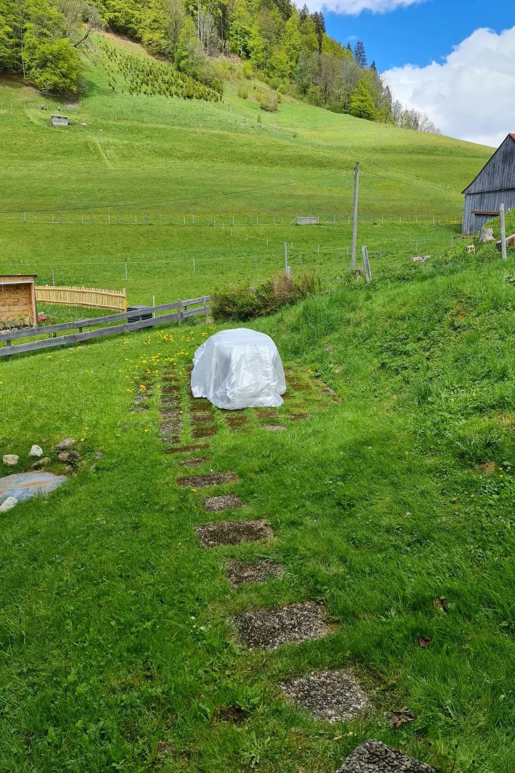 Wh Sonnenaufgang-Dedans