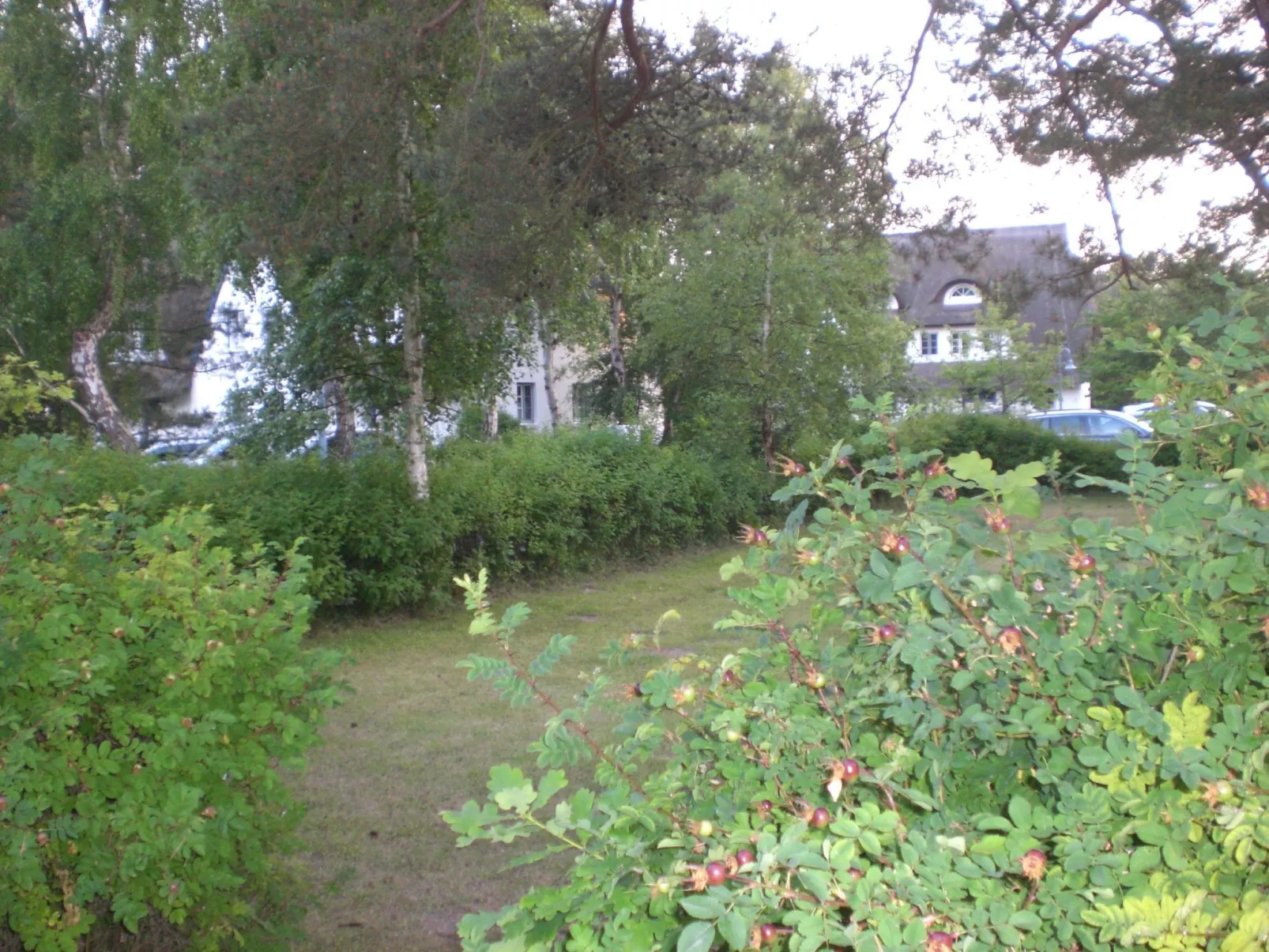 Appartement Achtern-Diek-am-Strand in Zingst-Draußen