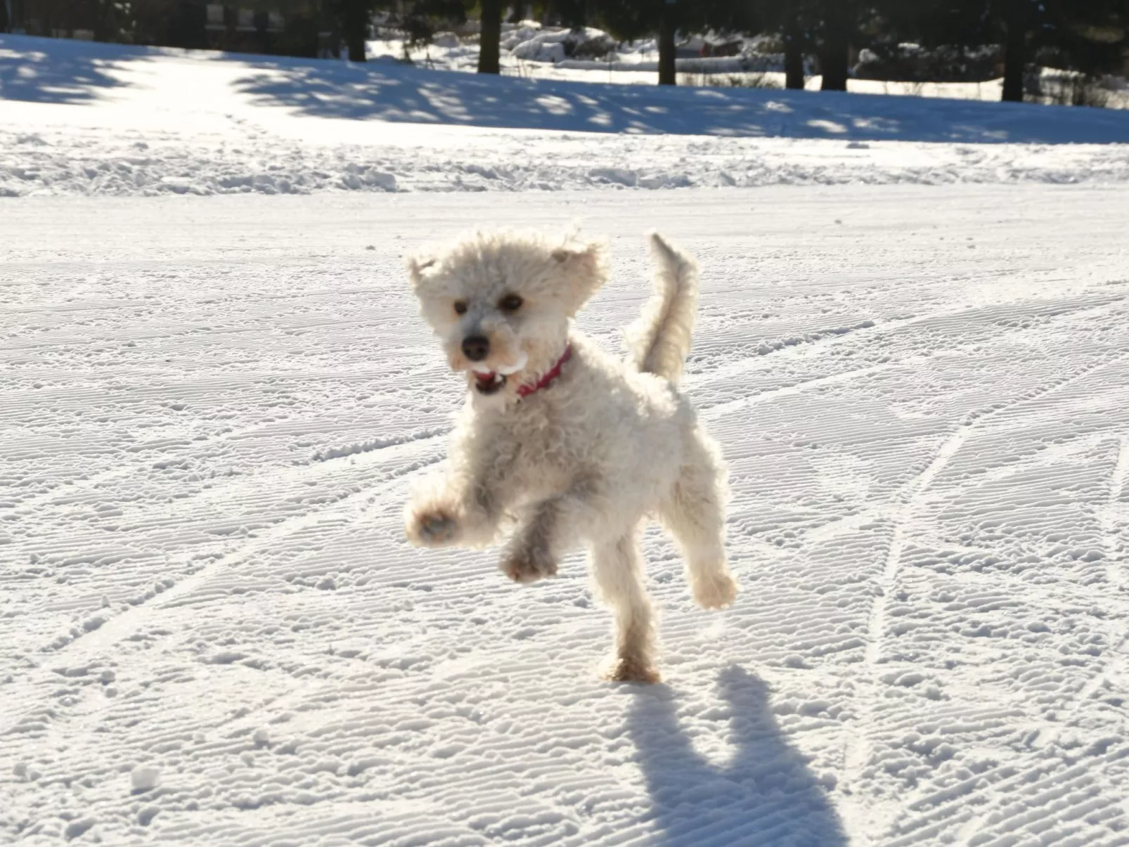 Große und moderne Ferienwohnung im Erdgeschoss-Outside