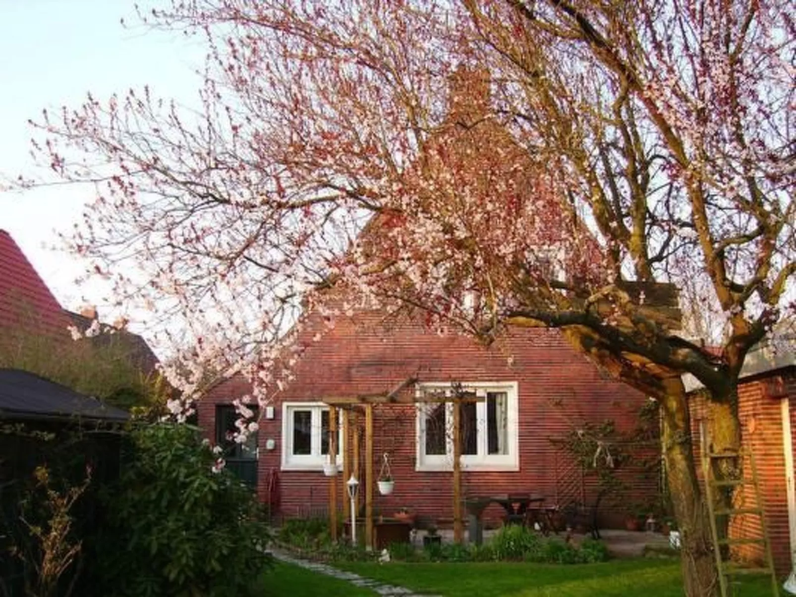 In Norden mit großem Garten-Outside