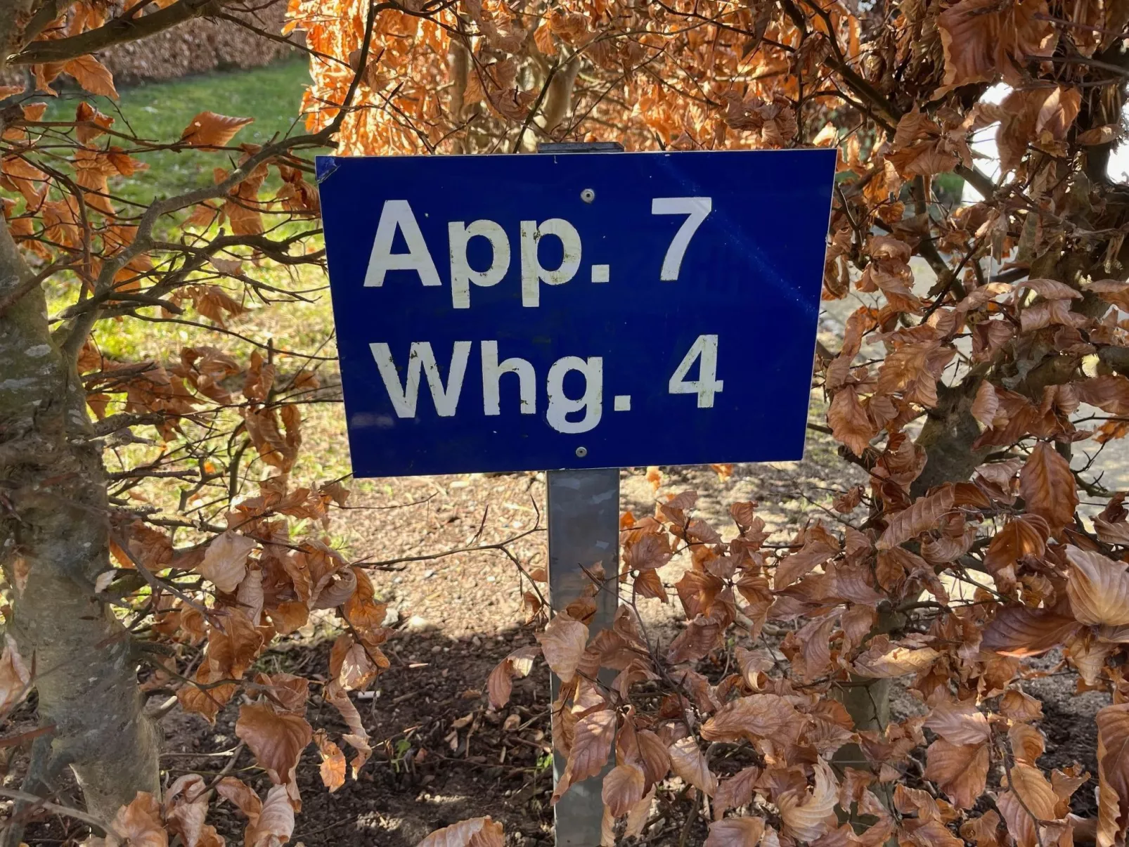 Wohnung in Strandnähe mit Sauna und Kamin - Dehors