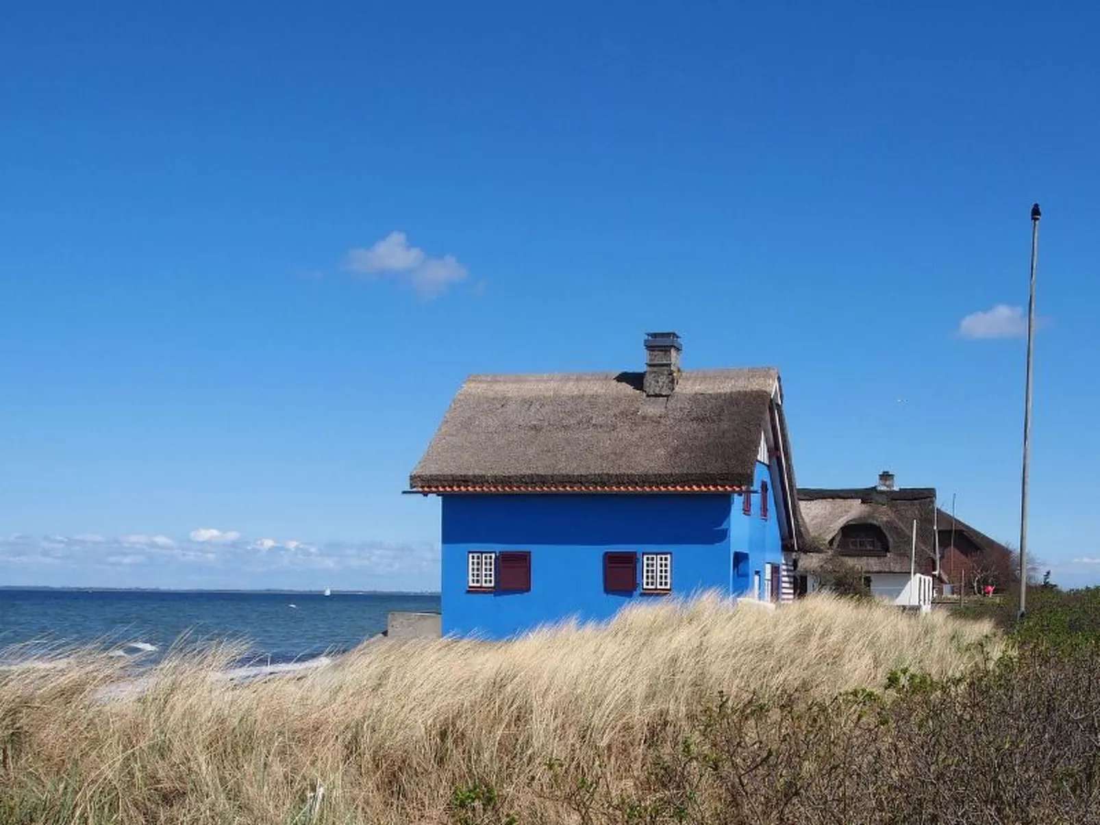 Seestern41-Image-tags.info