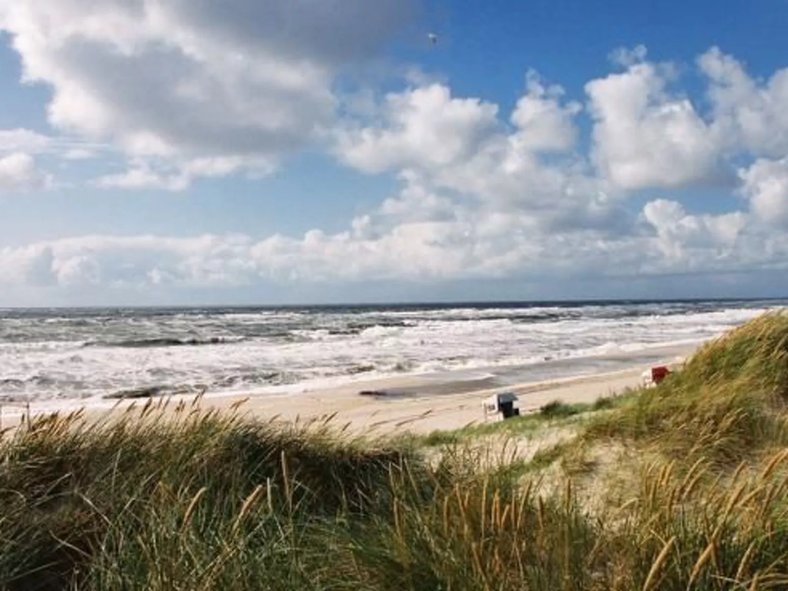 Luxuriöses Apartment in Reetdachhaus-Dehors