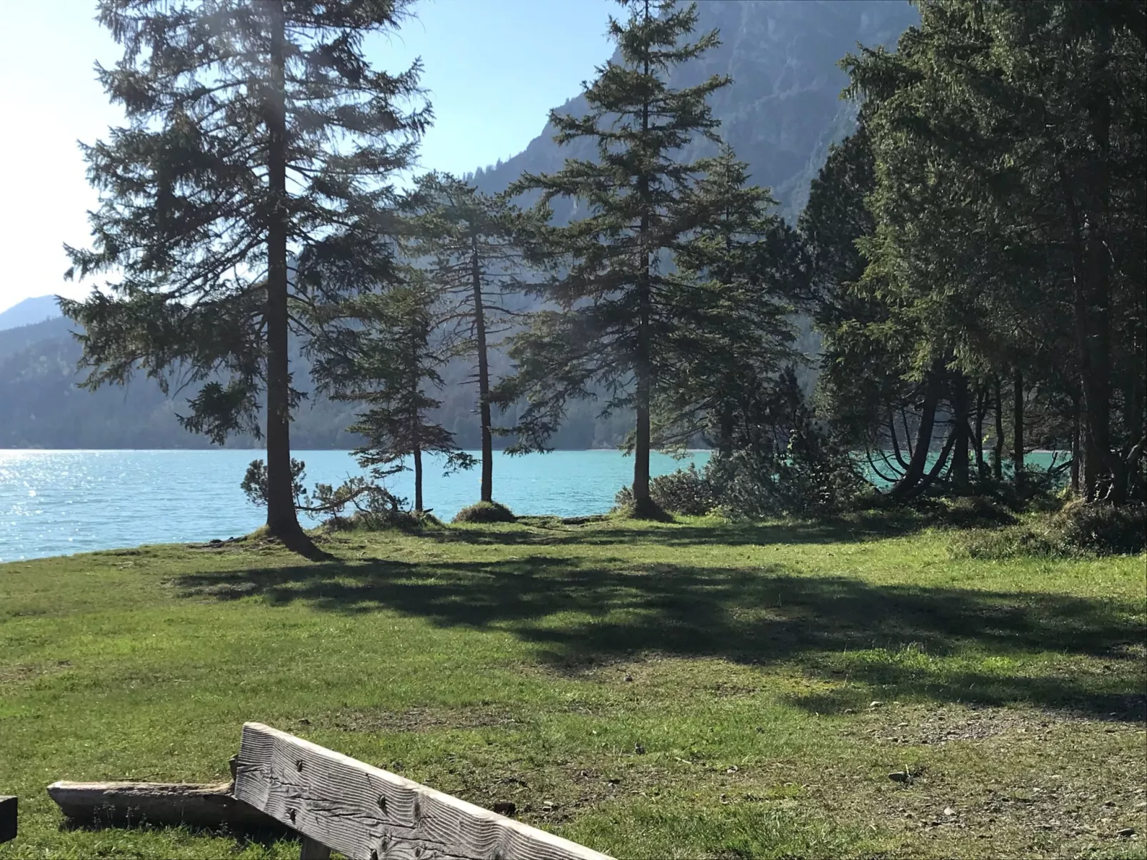 Pony-Ziegen-Hasen-Ranch in Bichlbach-Dedans
