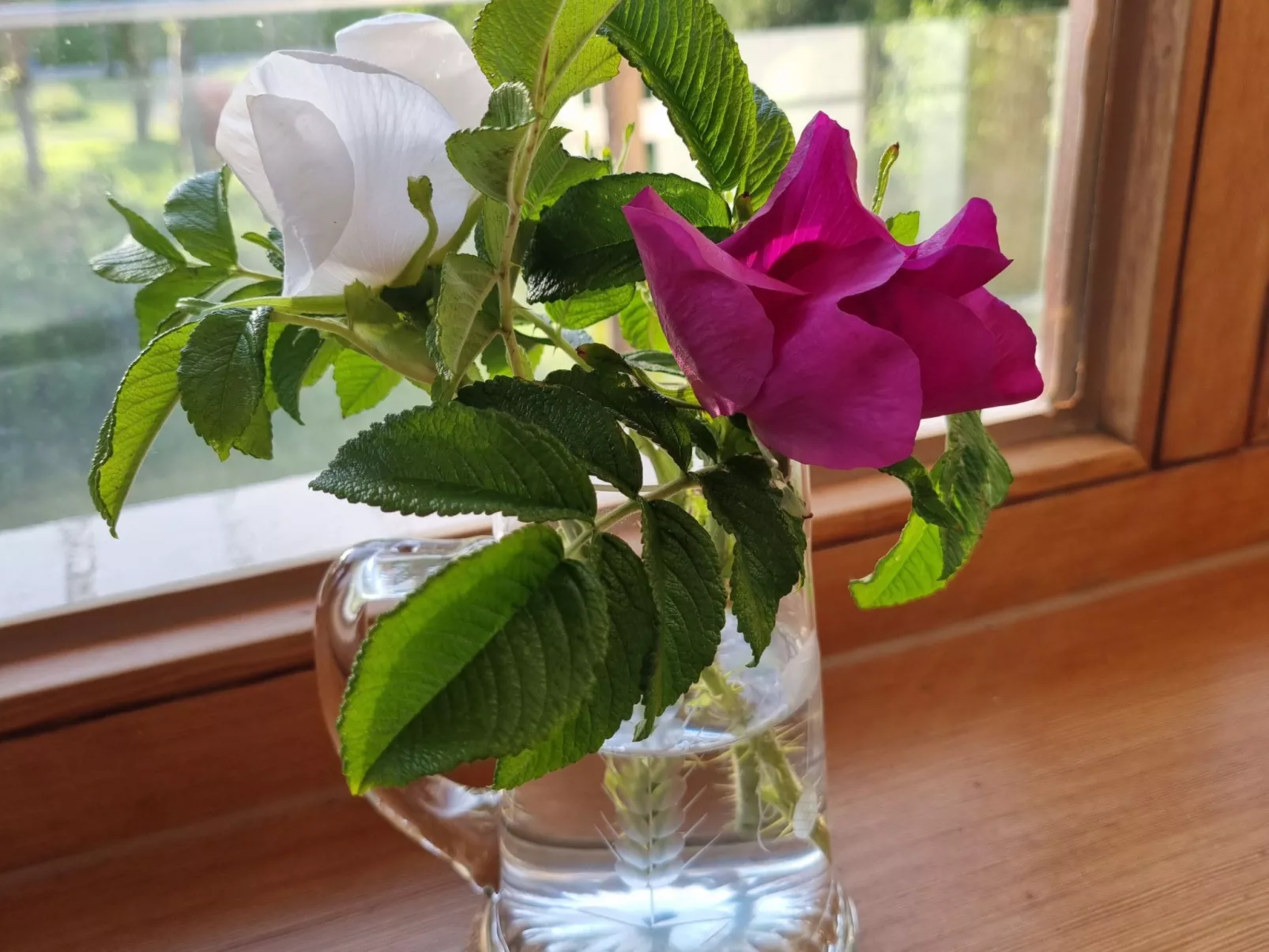 Ankerplatz 54 Grad-Inside