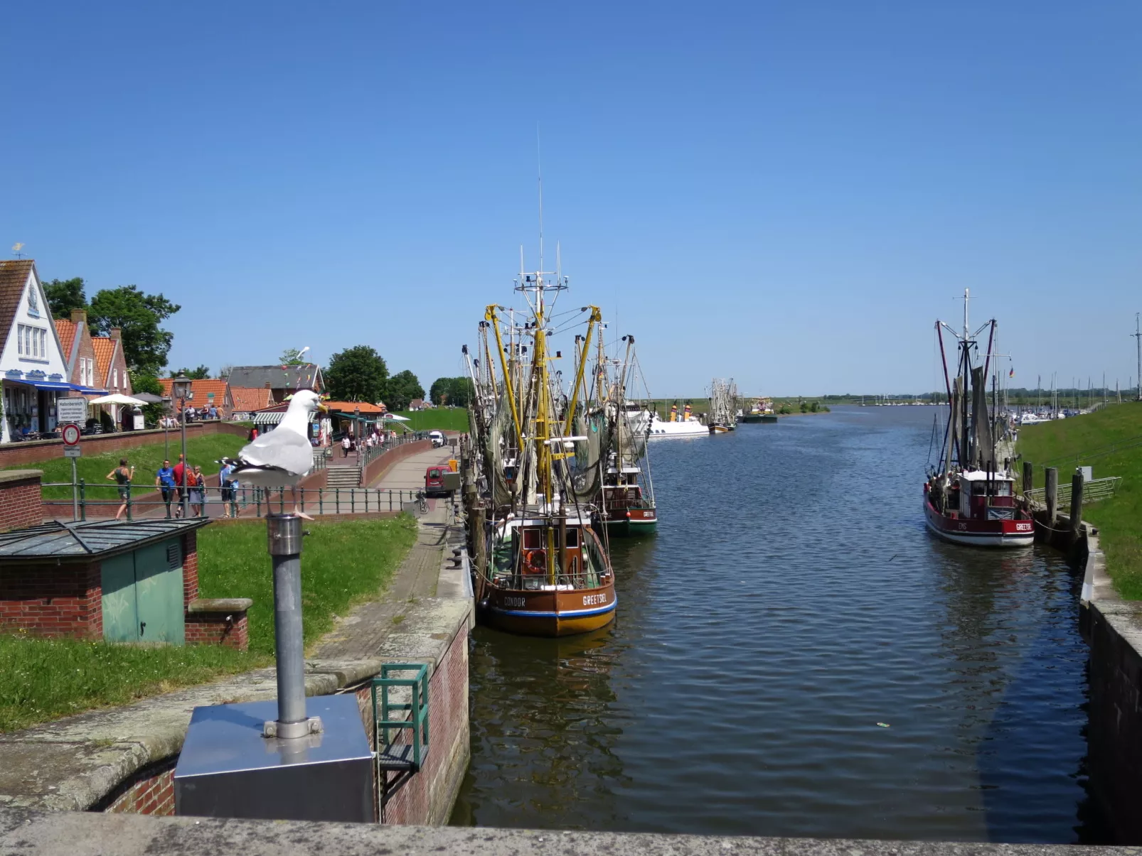 Lara's Olle Warft-Environnement