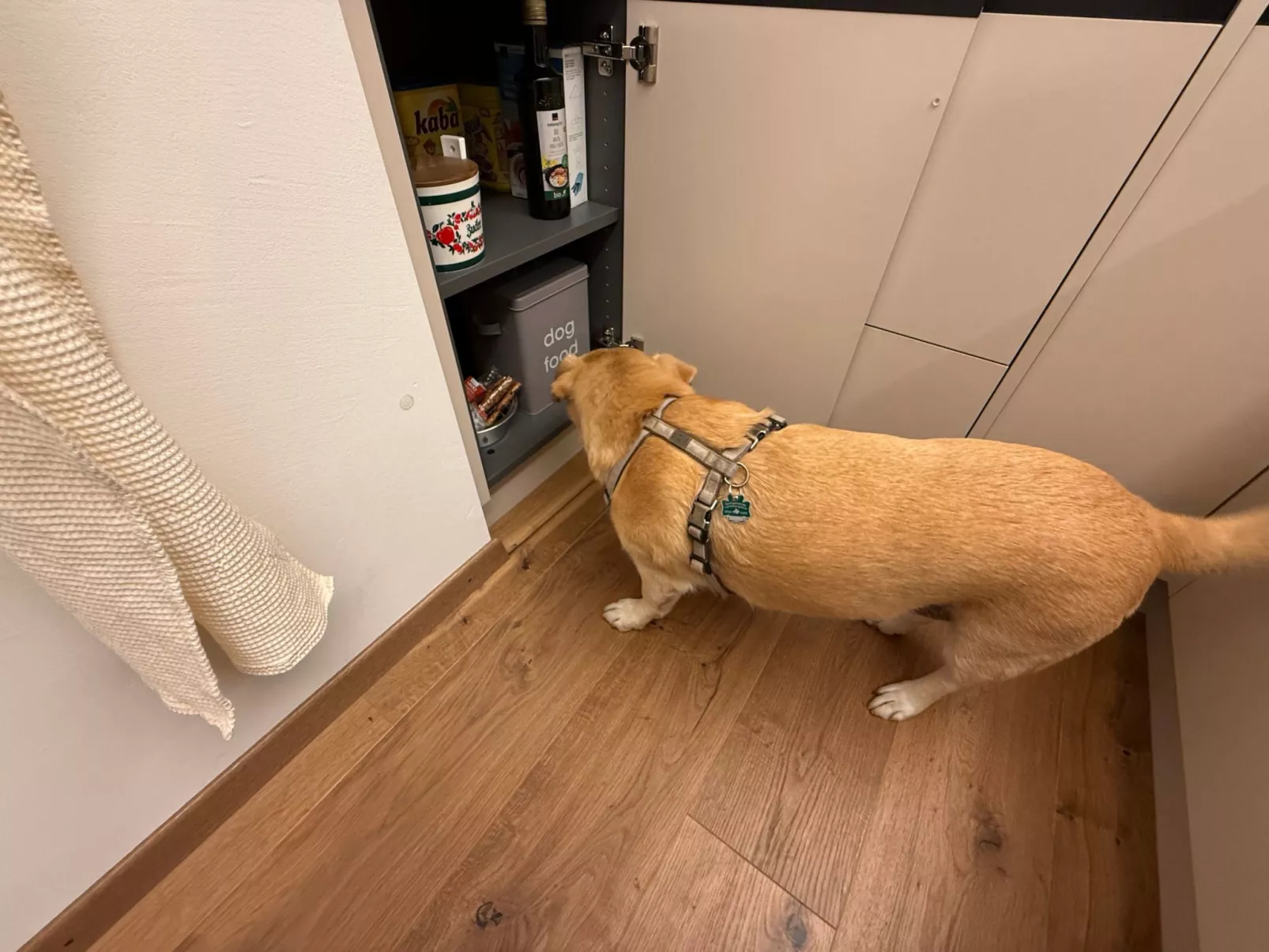 Chesa Müsella-Drinnen