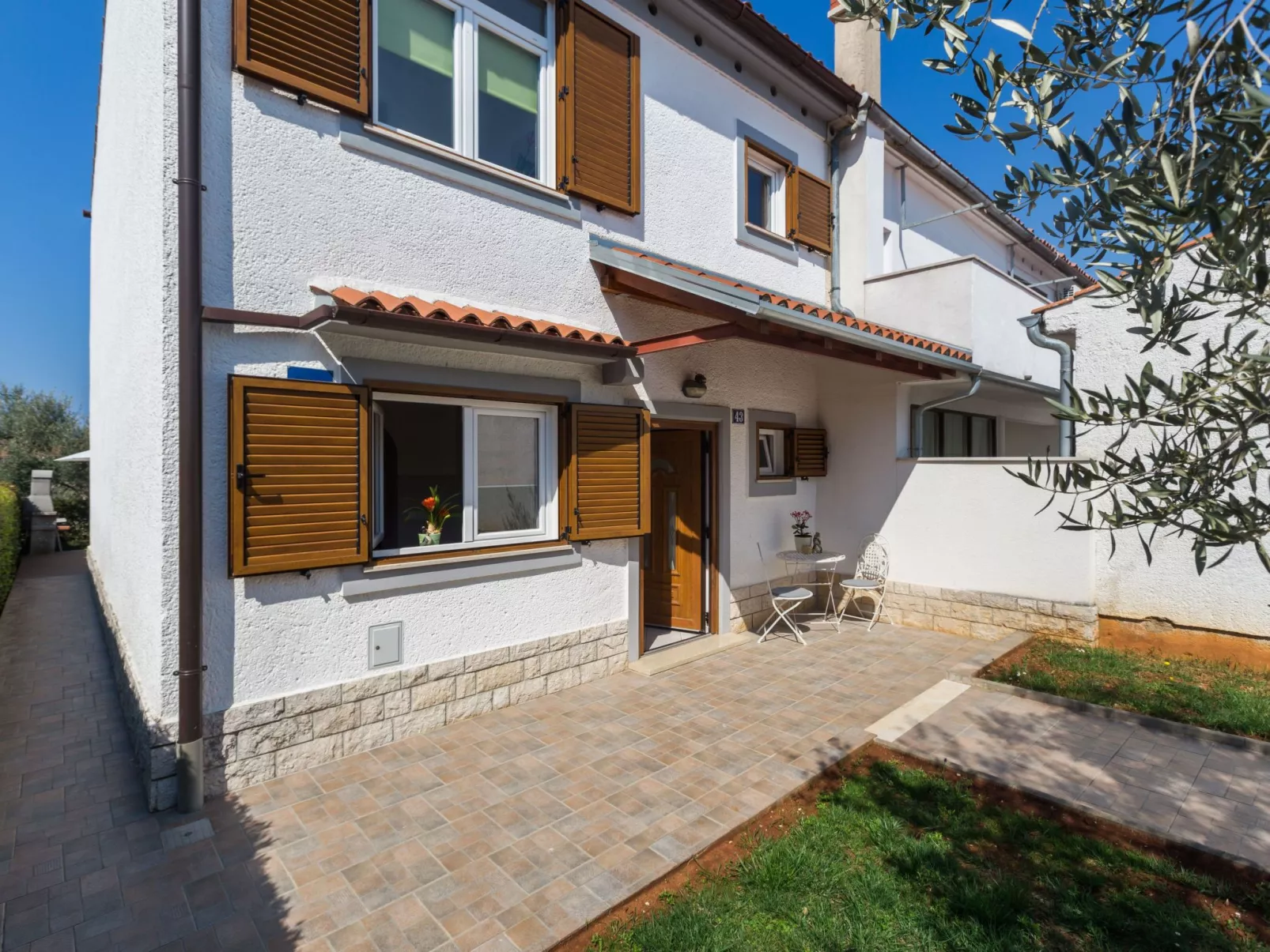 Oliva-Image-tags.info