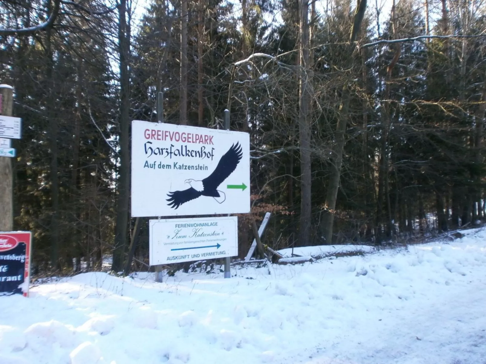 Appartement in Steina mit Terrasse - Outside