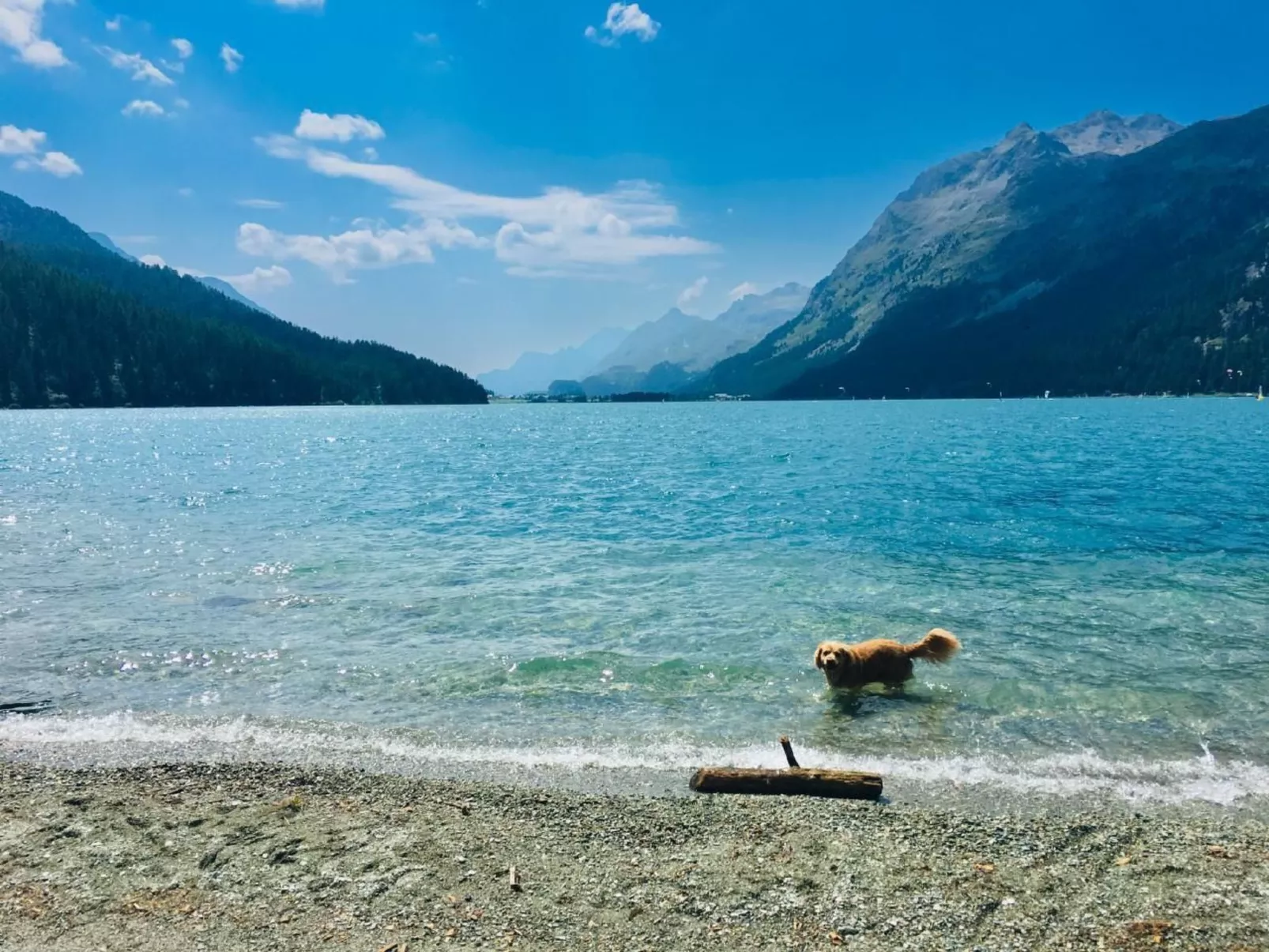 Maisonette Alpenrose-Image-tags.info