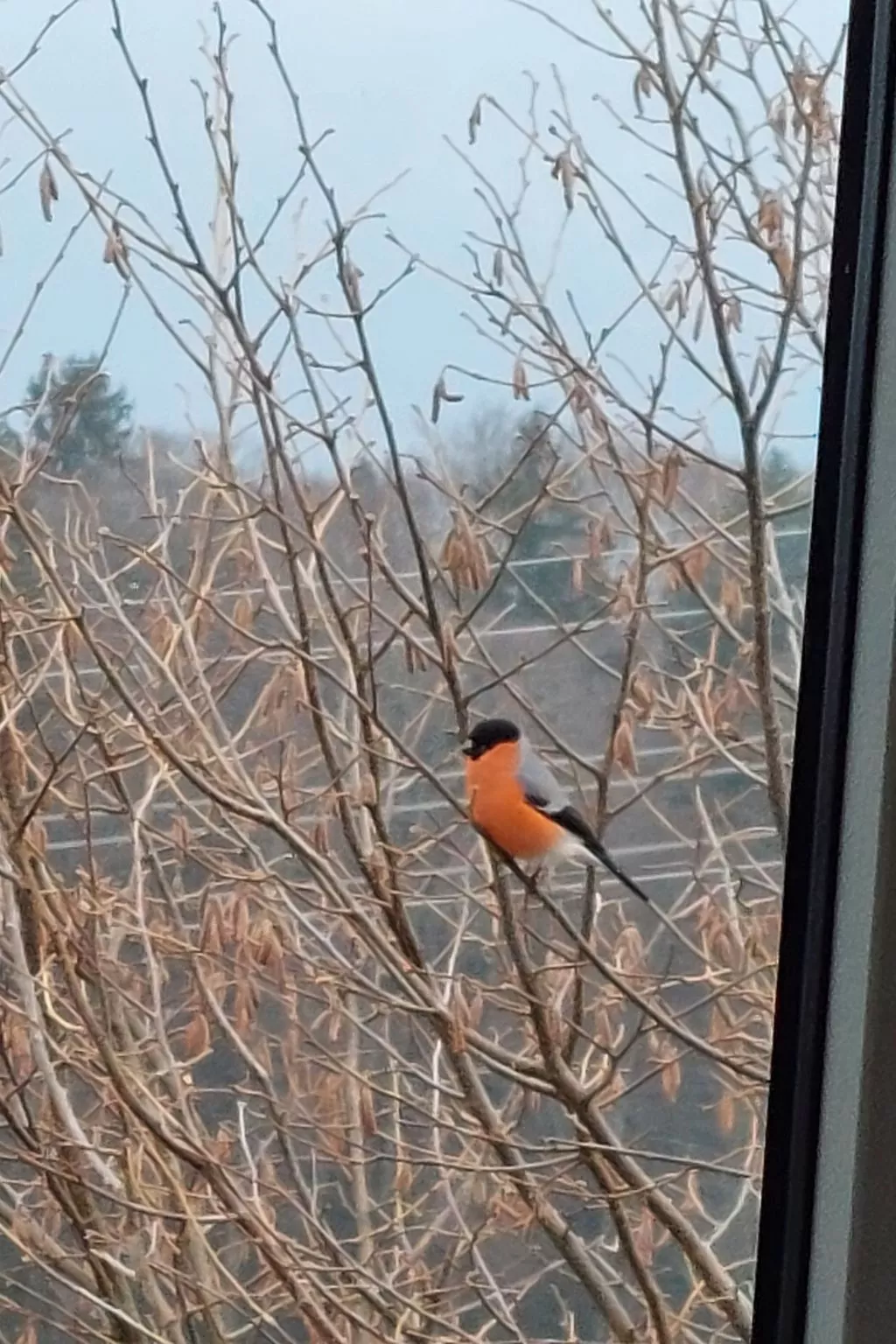 Chalet Aebnit-Outside