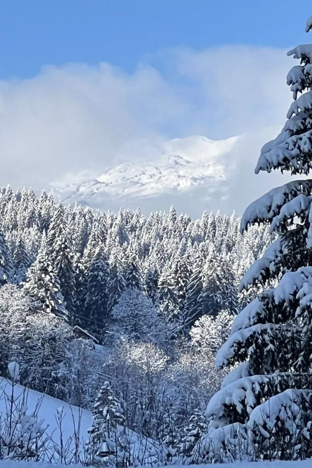Berg-Ferienwohnung  im Chalet  Zirbeli-Dedans