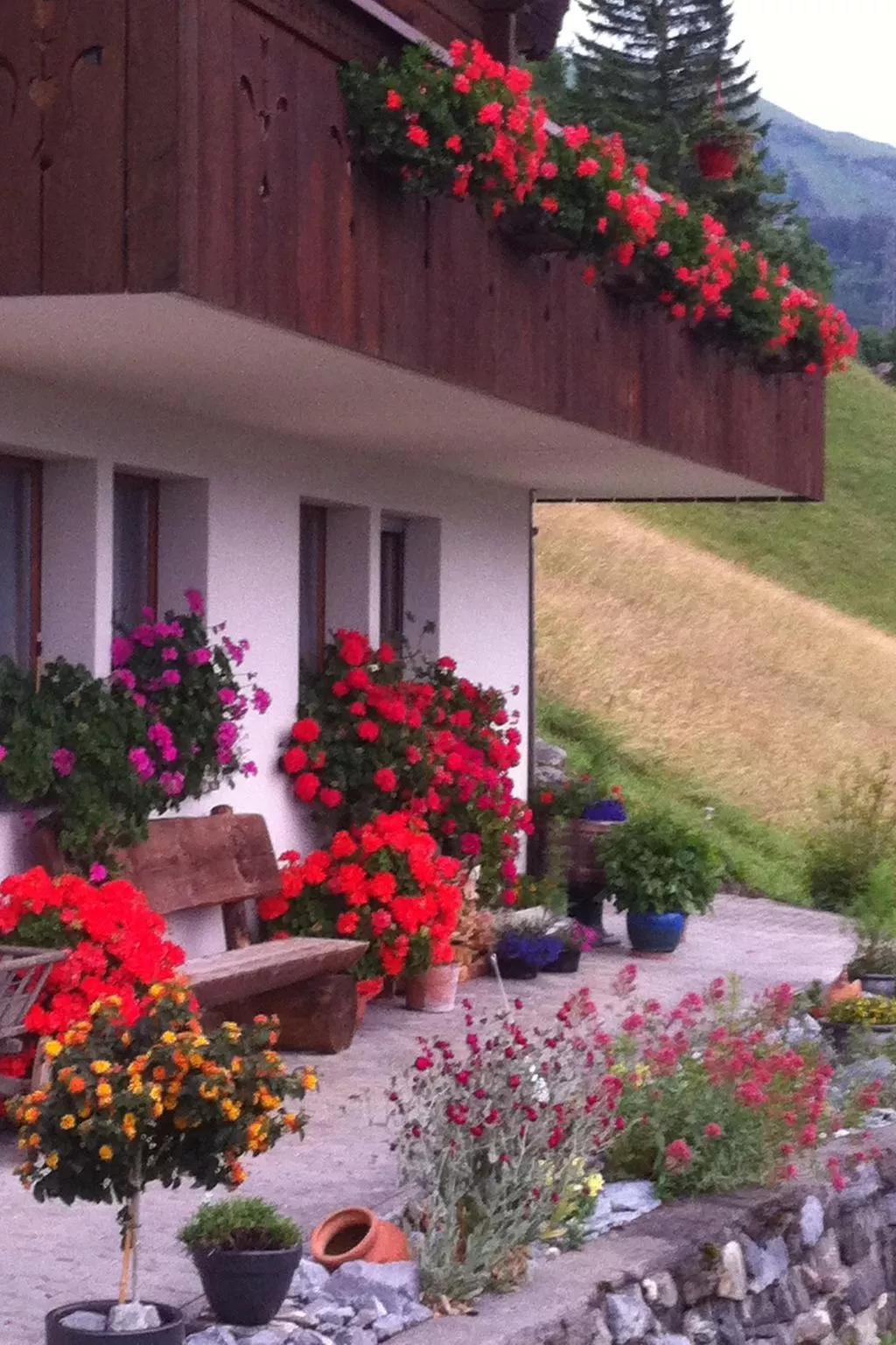 Anneliese Schaad Studio-Outside