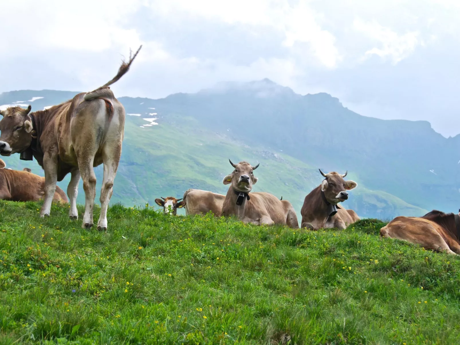 Schaad 4-Bett-Wohnung-Outside