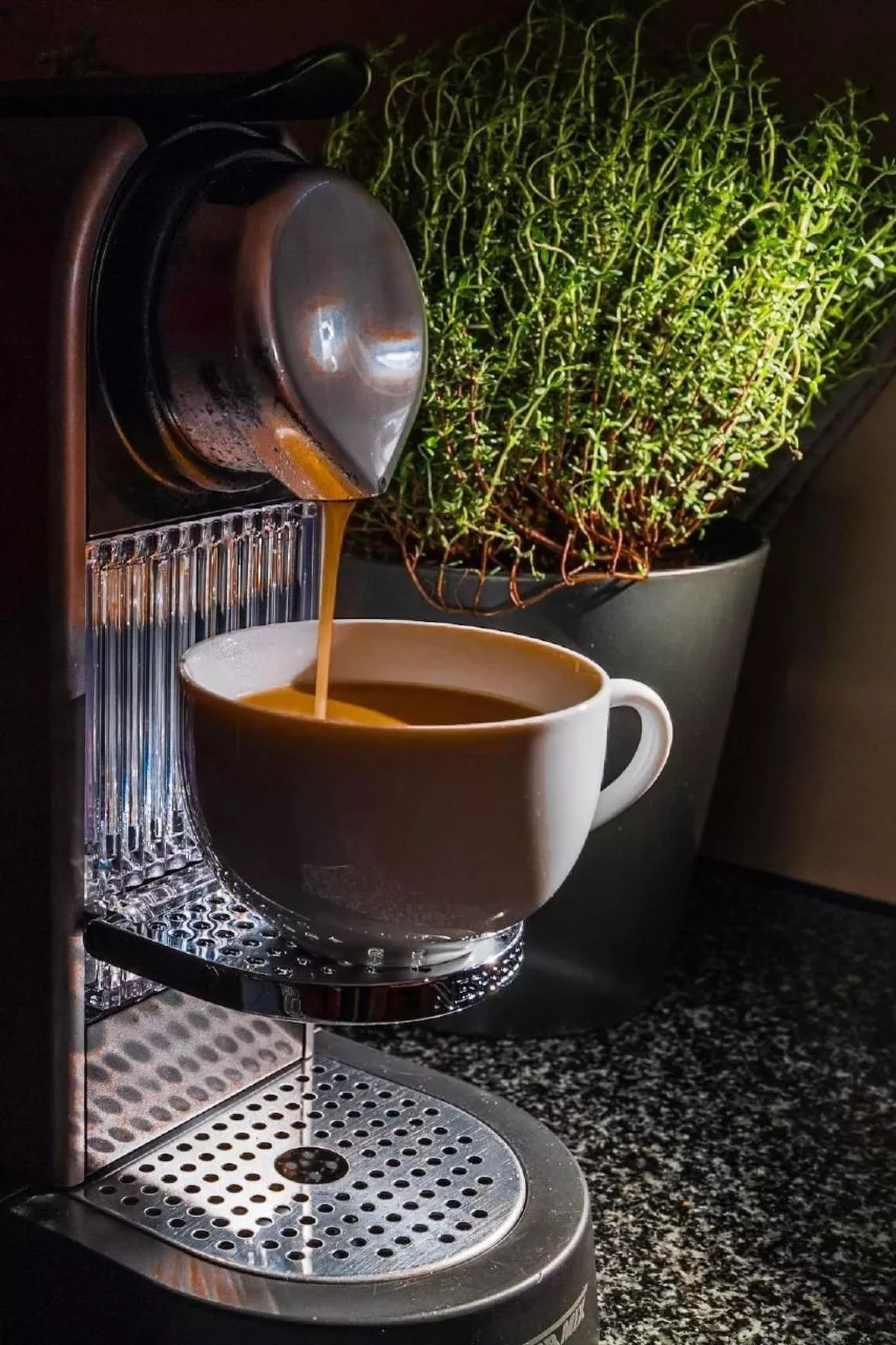 Chalet Raufthubel-Image-tags.info