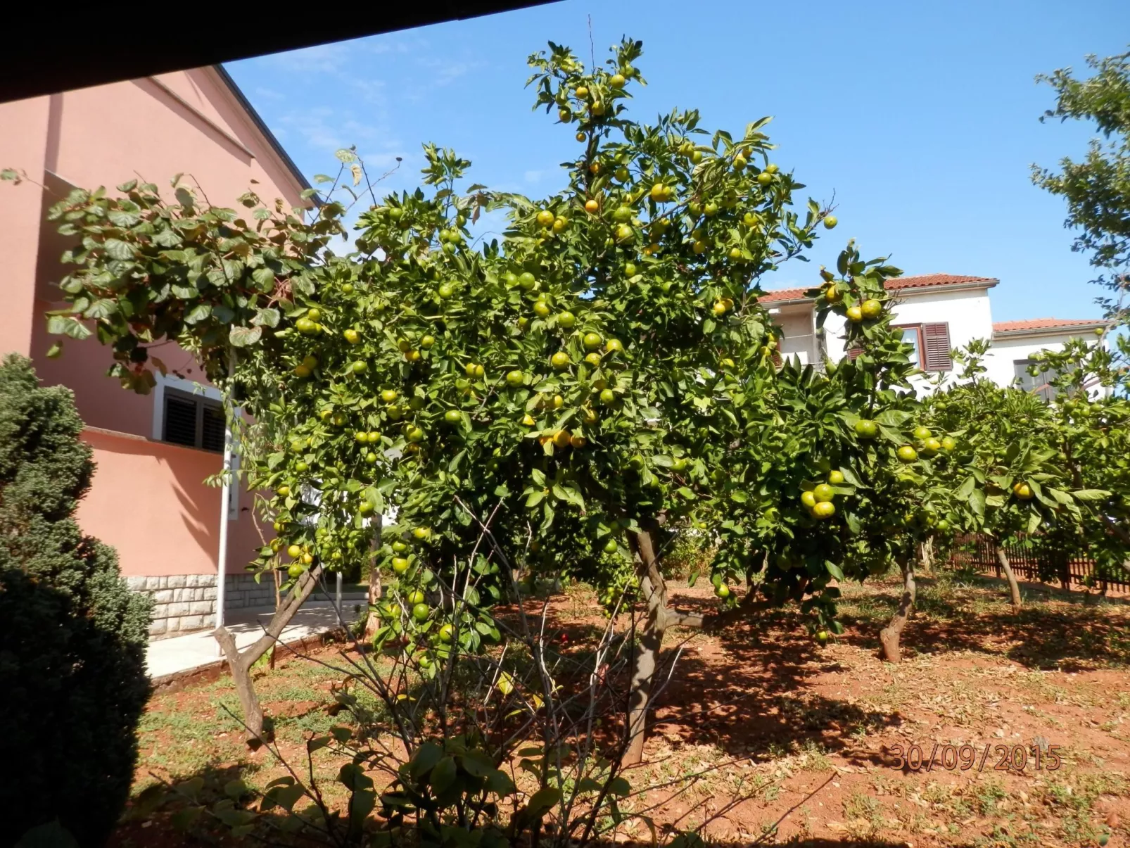 Wohnung 'Silva4' mit Wasserblick-Draußen