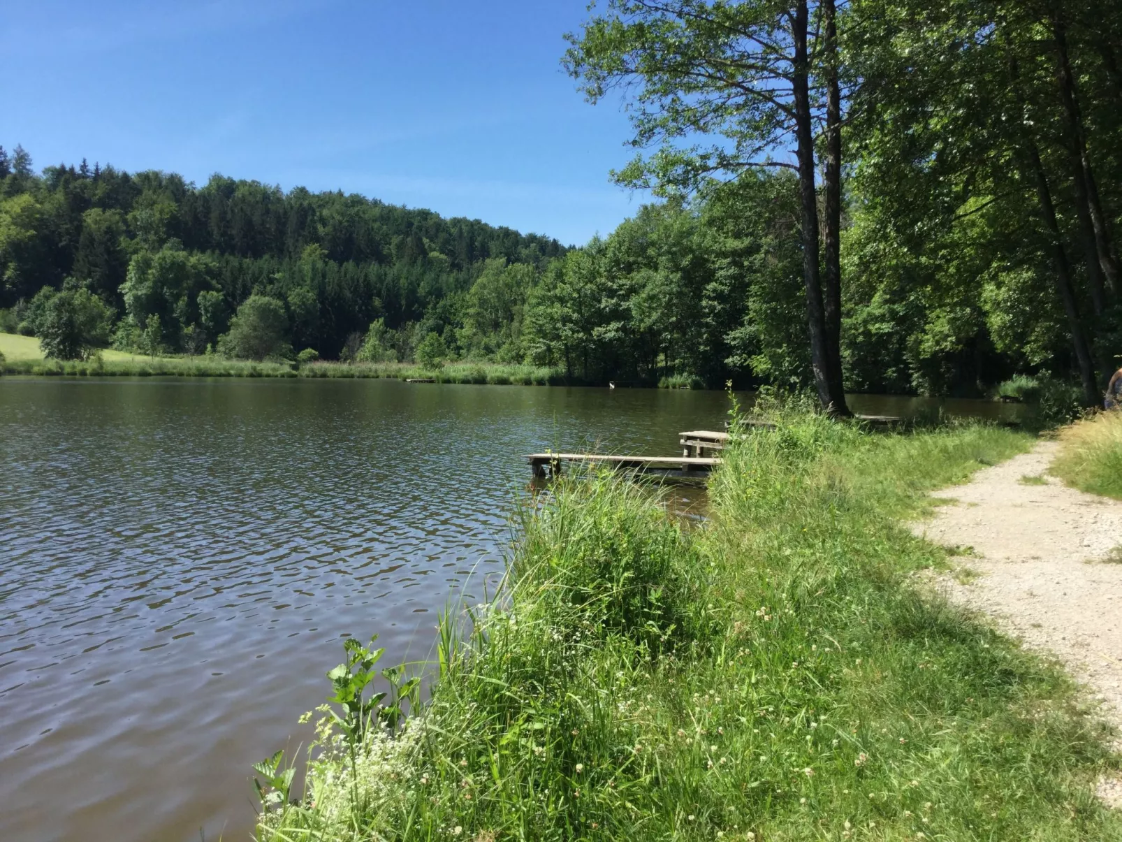 Mit Panoramablick-Outside